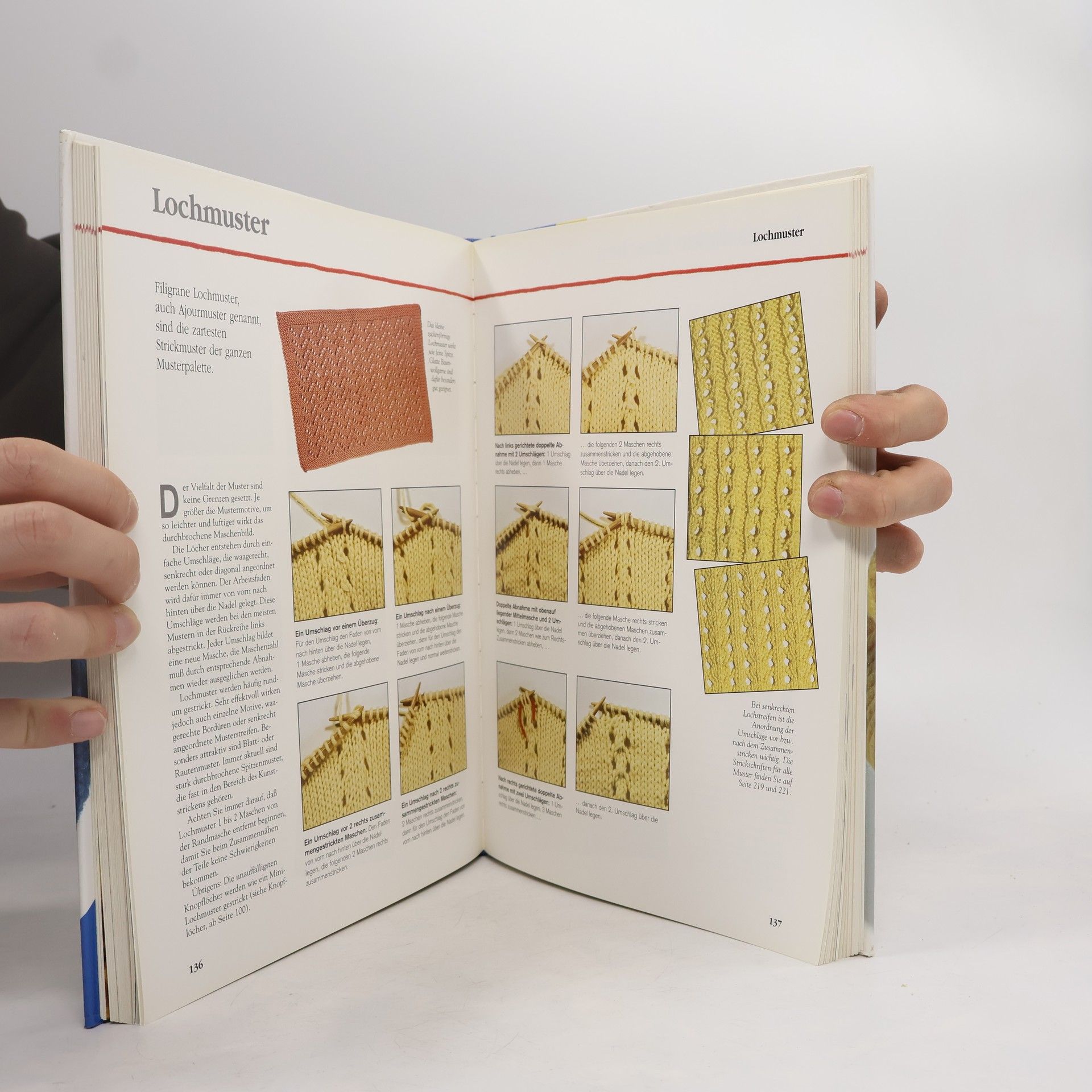 Katharina Buss Das große Strickbuch