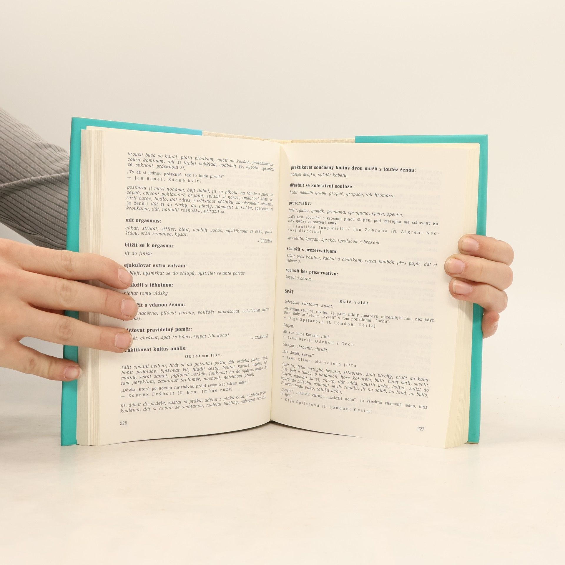 Patrik Ouředník Šmírbuch jazyka českého