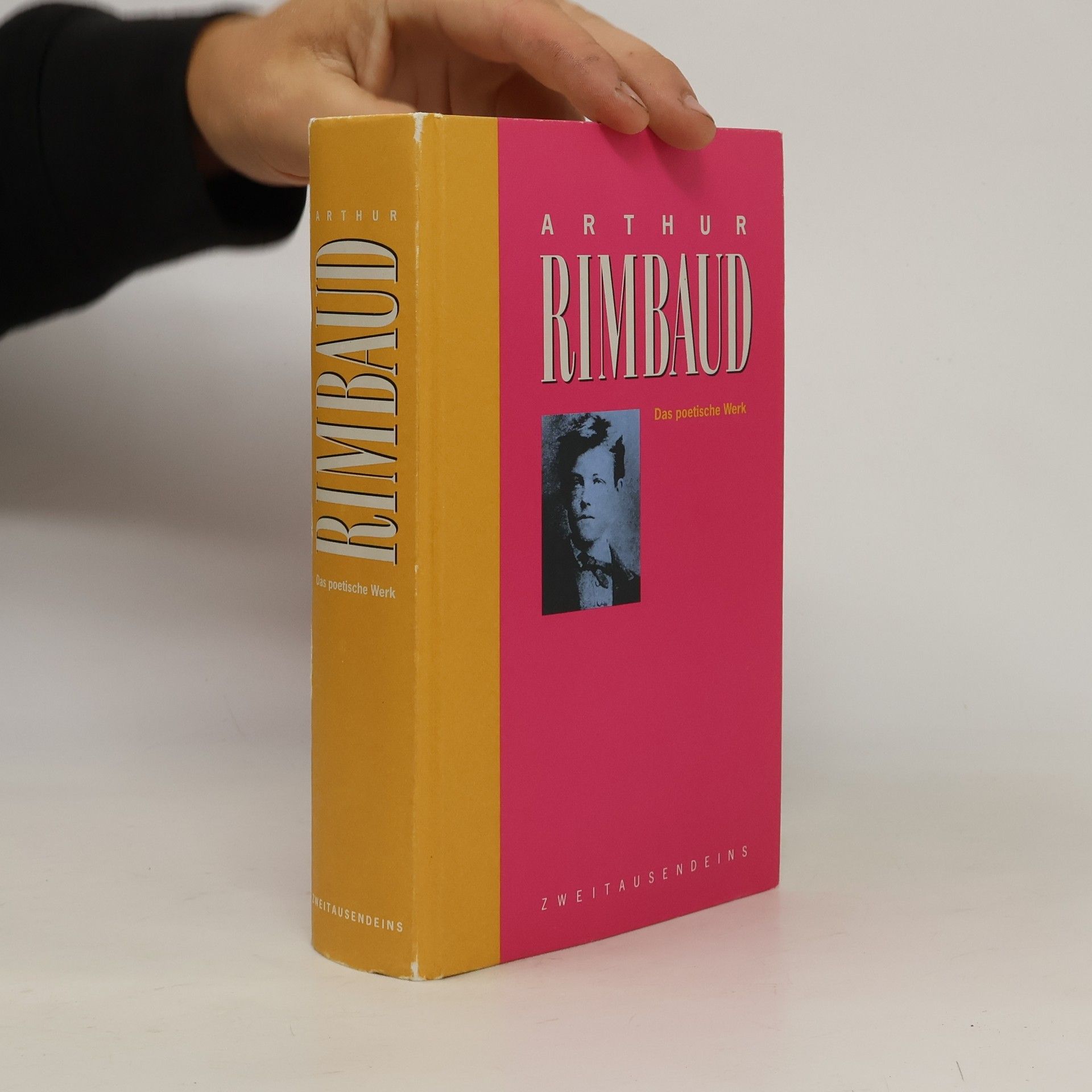 Arthur Rimbaud Das poetische Werk