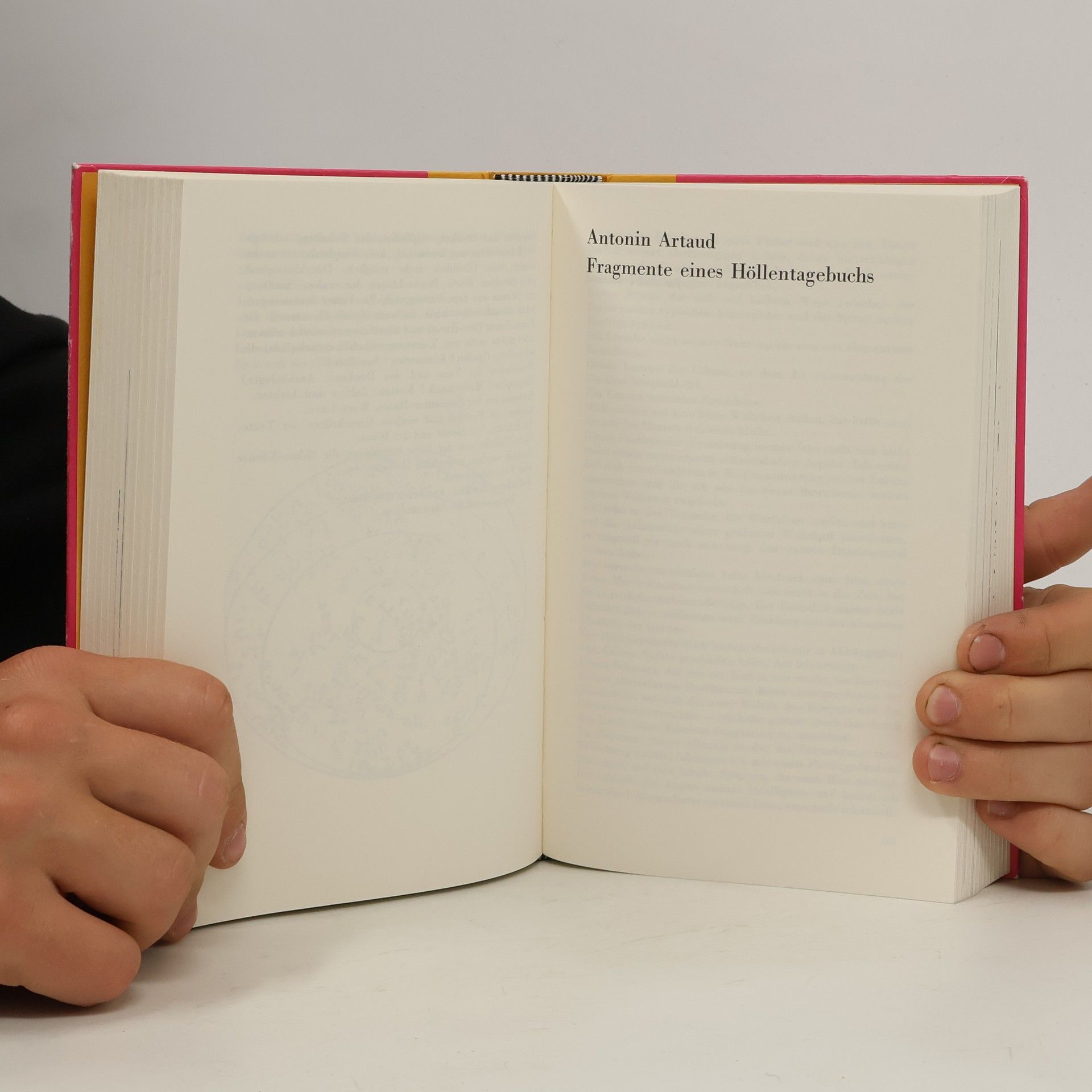 Arthur Rimbaud Das poetische Werk