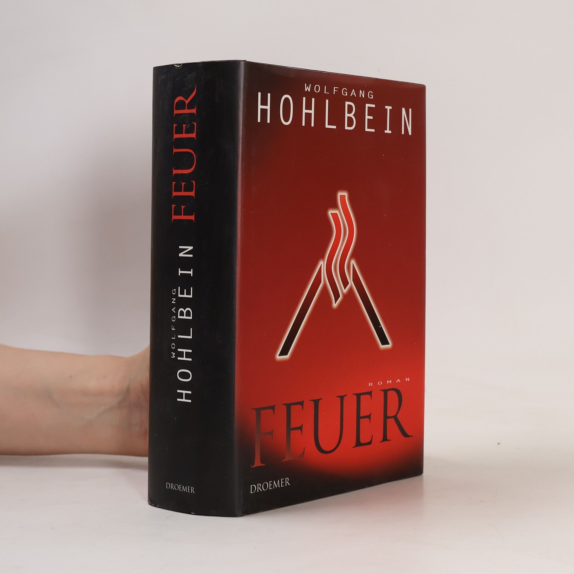 Wolfgang Hohlbein Feuer