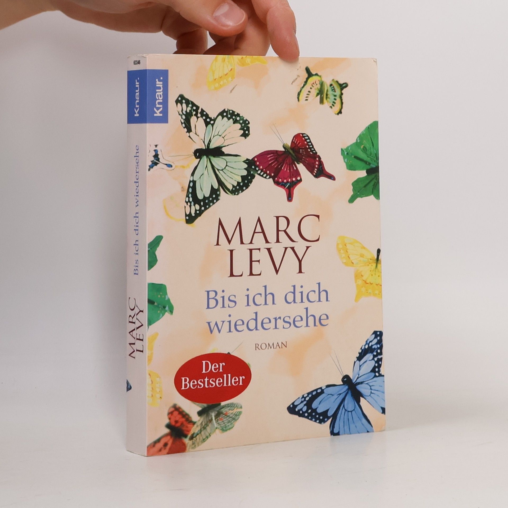 Marc Levy Bis ich dich wiedersehe
