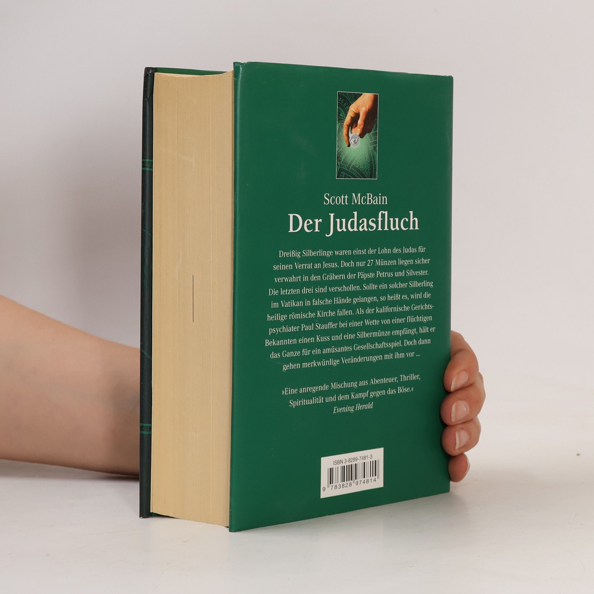 Scott McBain Der Judasfluch