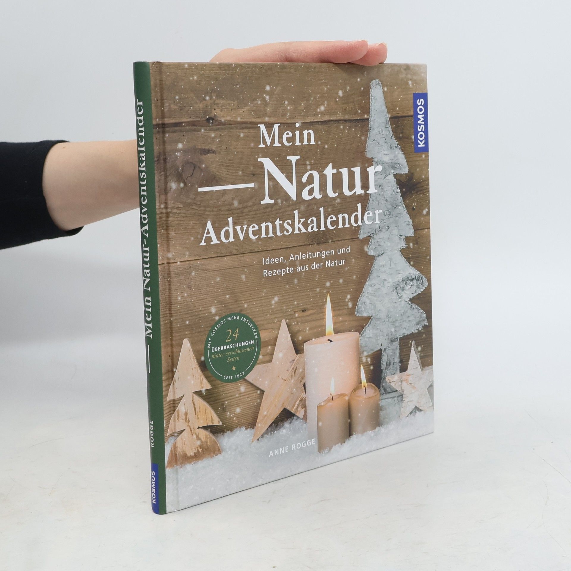 Anne Rogge Mein Natur-Adventskalender