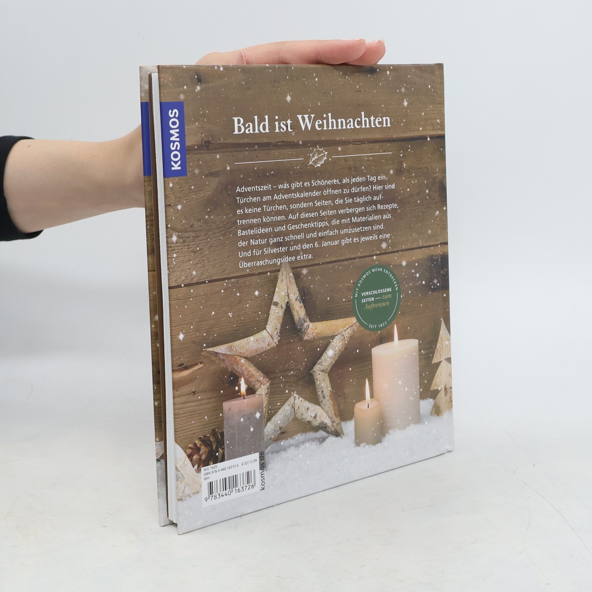 Anne Rogge Mein Natur-Adventskalender