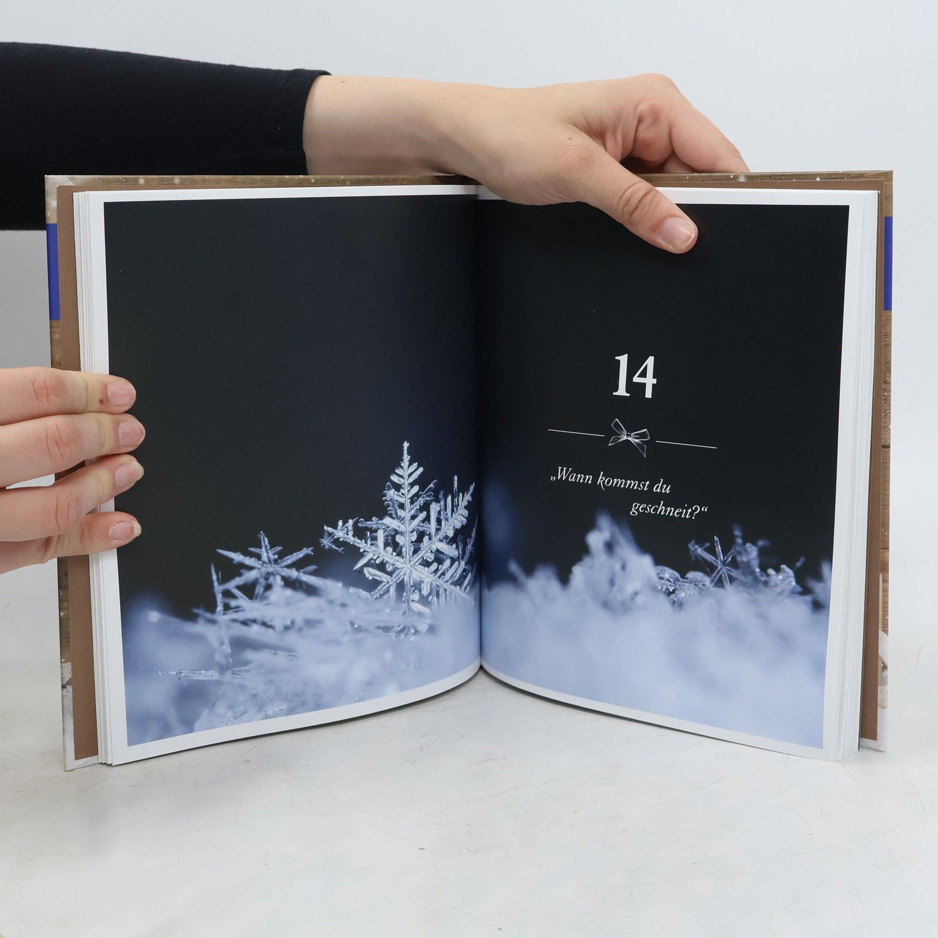 Anne Rogge Mein Natur-Adventskalender