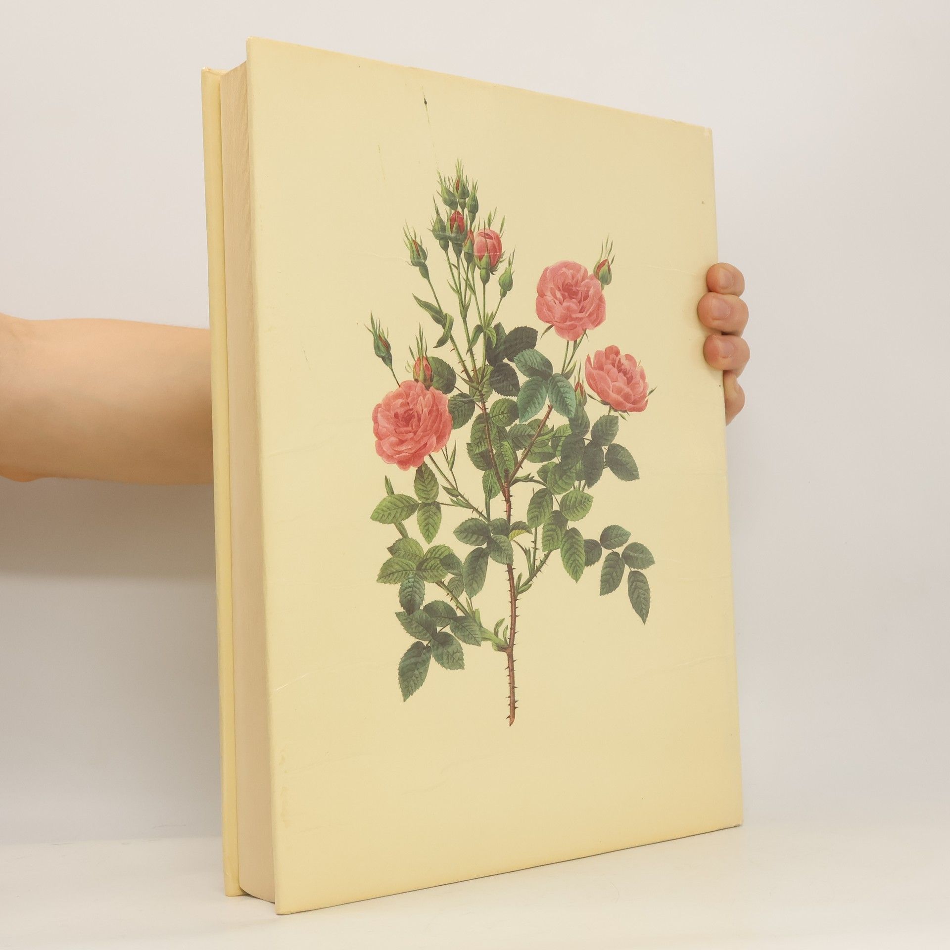Pierre-Joseph Redouté Die schönsten Blumen und Früchte