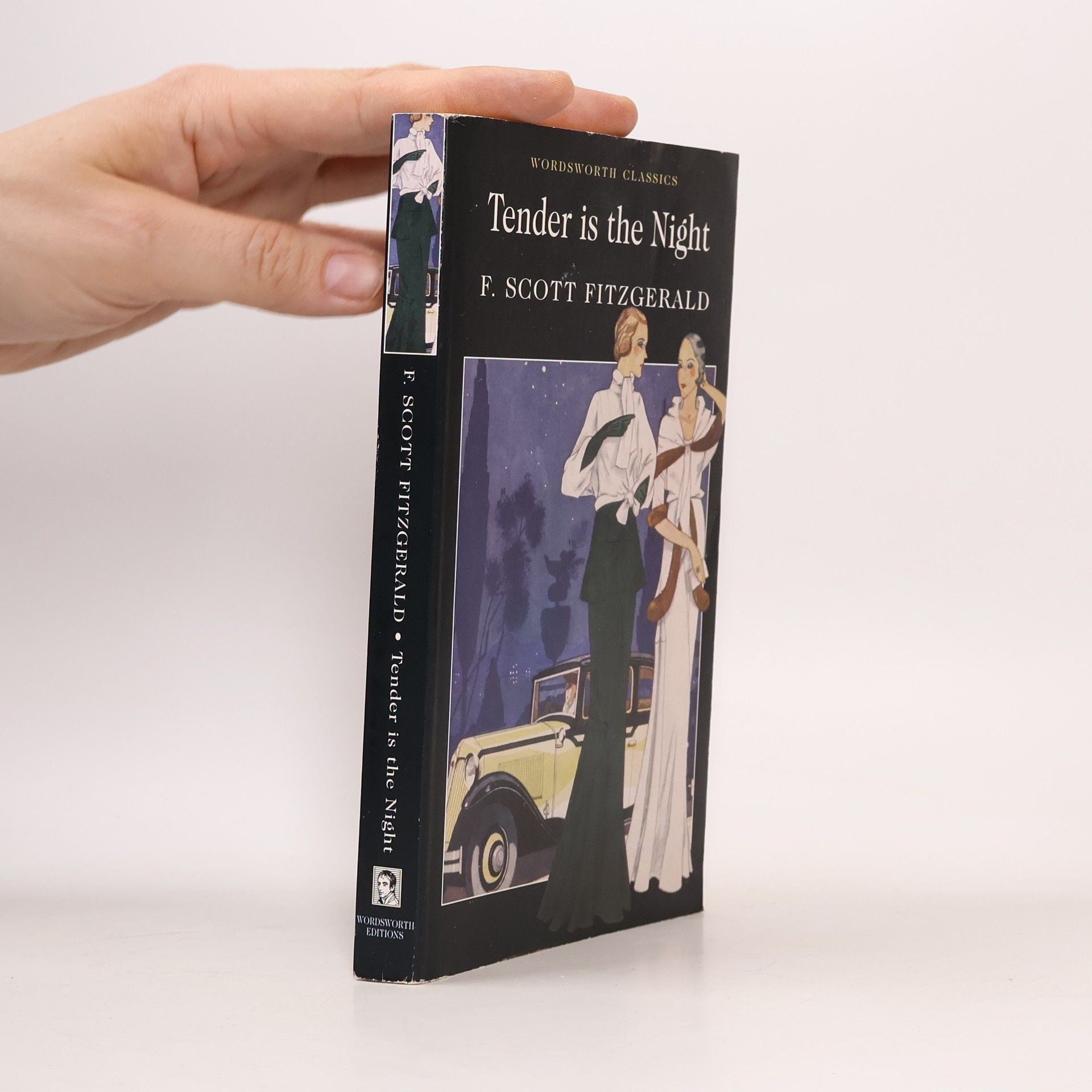 Francis Scott Fitzgerald Tender is the Night