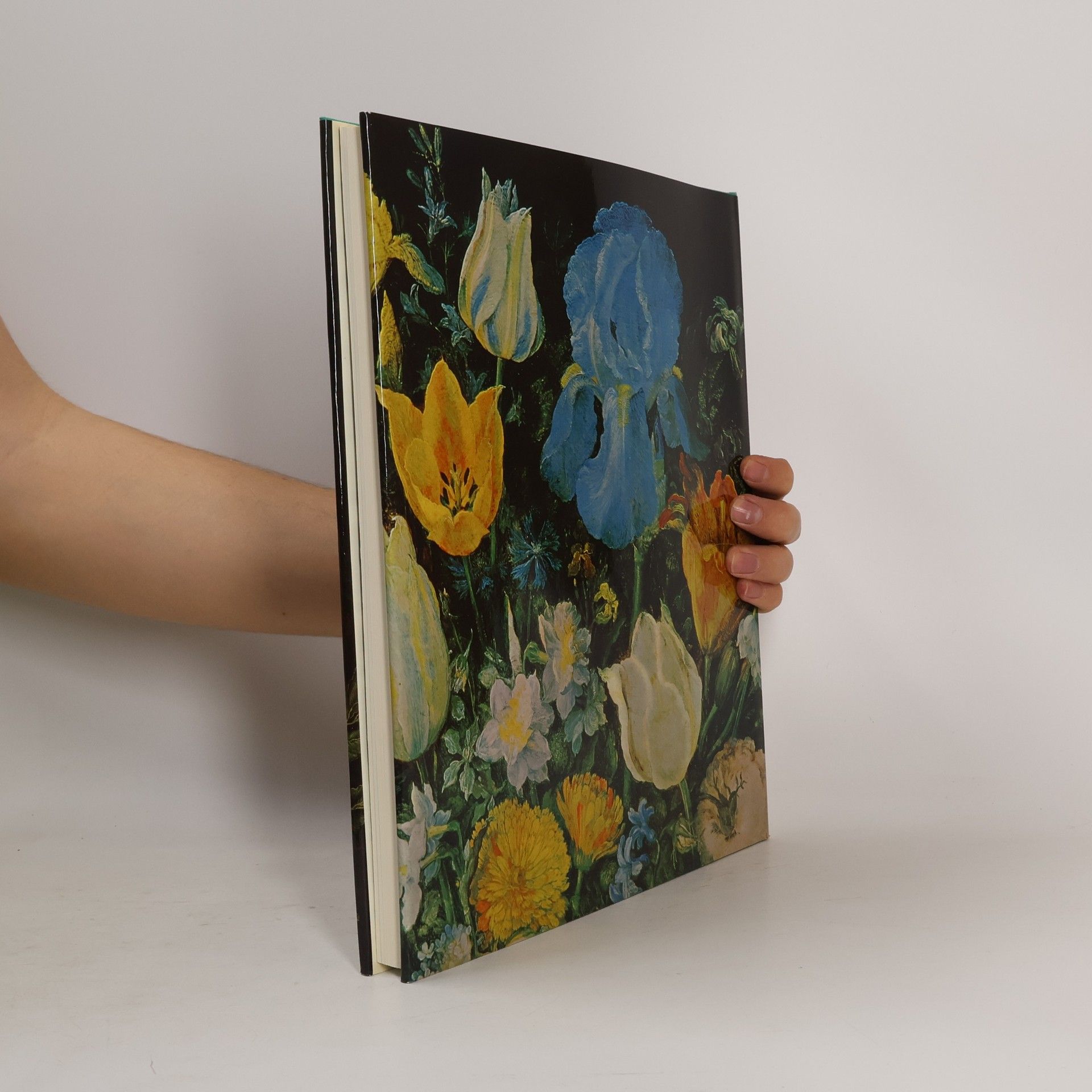 Gertraude WinkelmannRhein Blumen-Brueghel