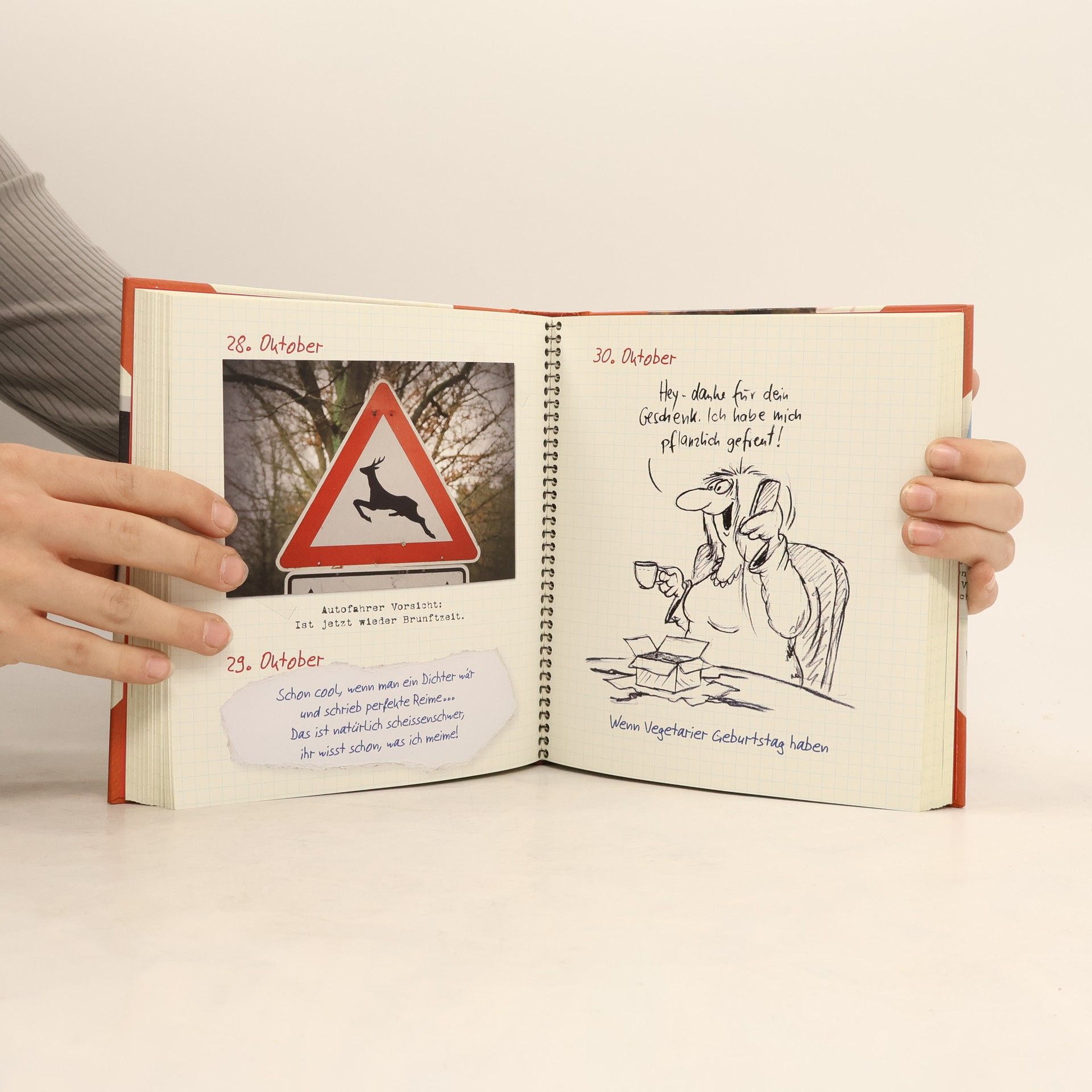 Uli Stein Tagebuch 2