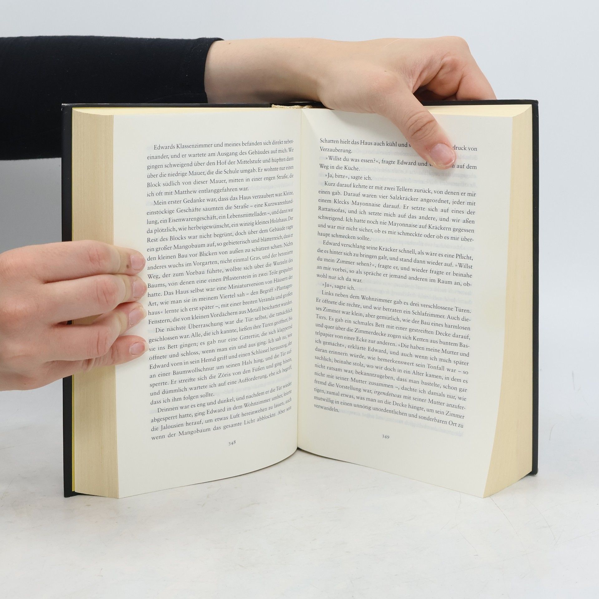 Hanya Yanagihara Zum Paradies