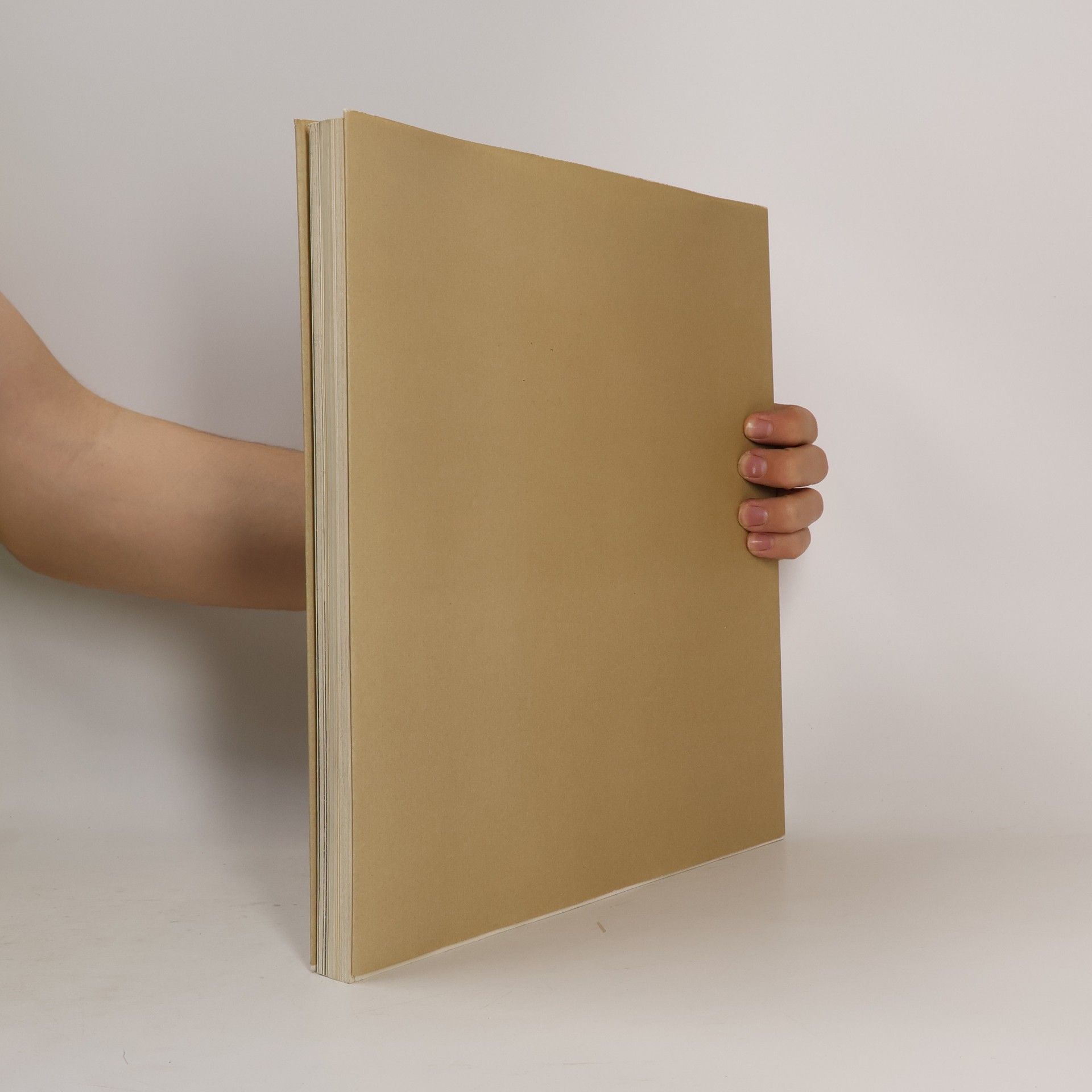 Helmut Kies Werkstattmonographie