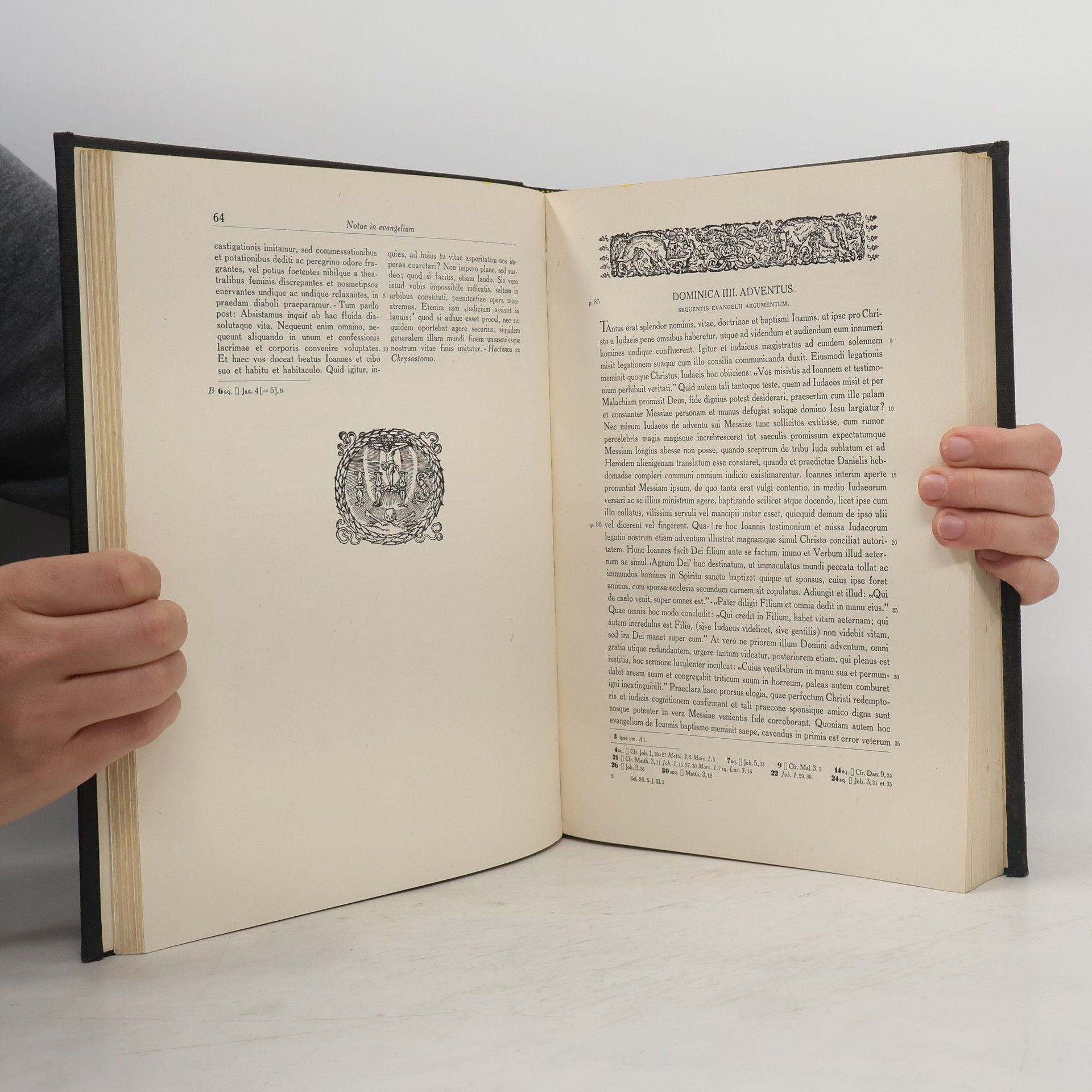 S. Petrus Canisius Societatis lesu selecti soriptores III.