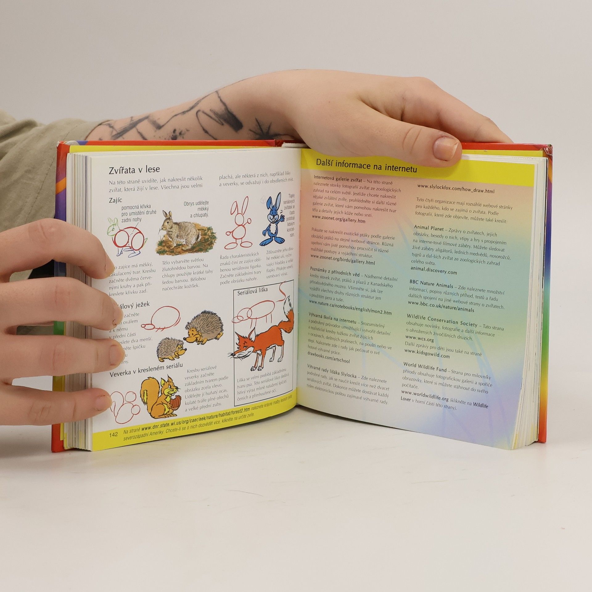 Autorenkollektiv Jak kreslit & malovat: Pro malé výtvarníky, Jak nakreslit veselé obrázky