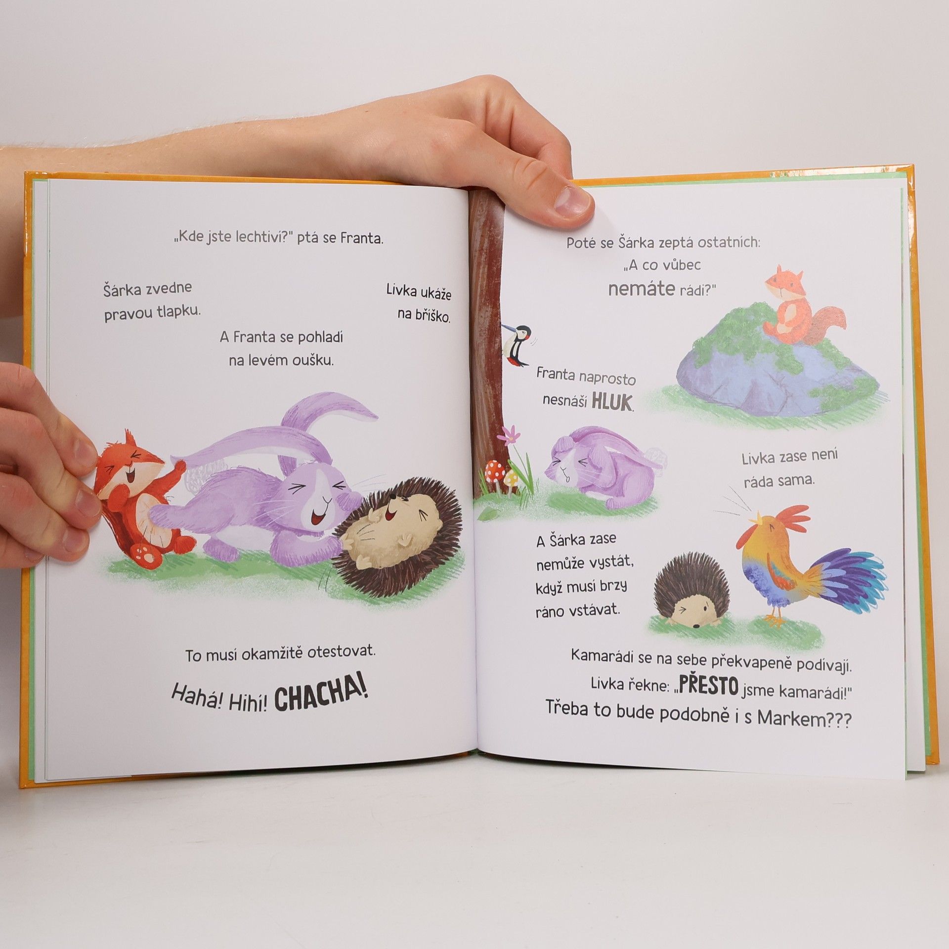 Kolektiv autorů Jsme všichni stejní?