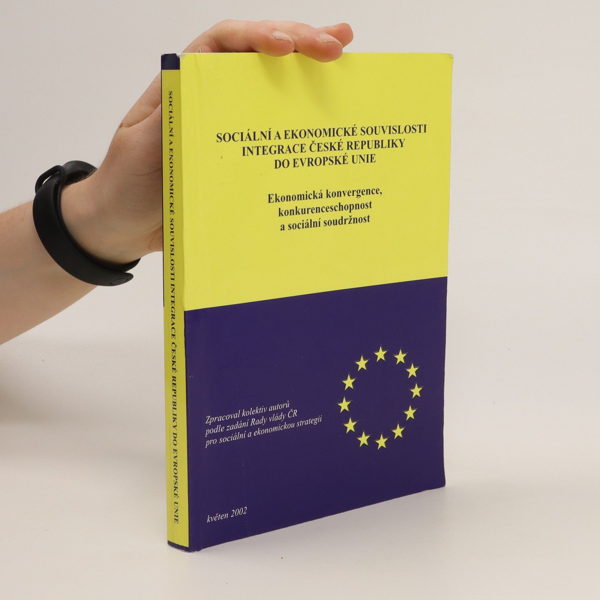 Martin Fassmann Sociální a ekonomické souvislosti integrace České republiky do Evropské unie
