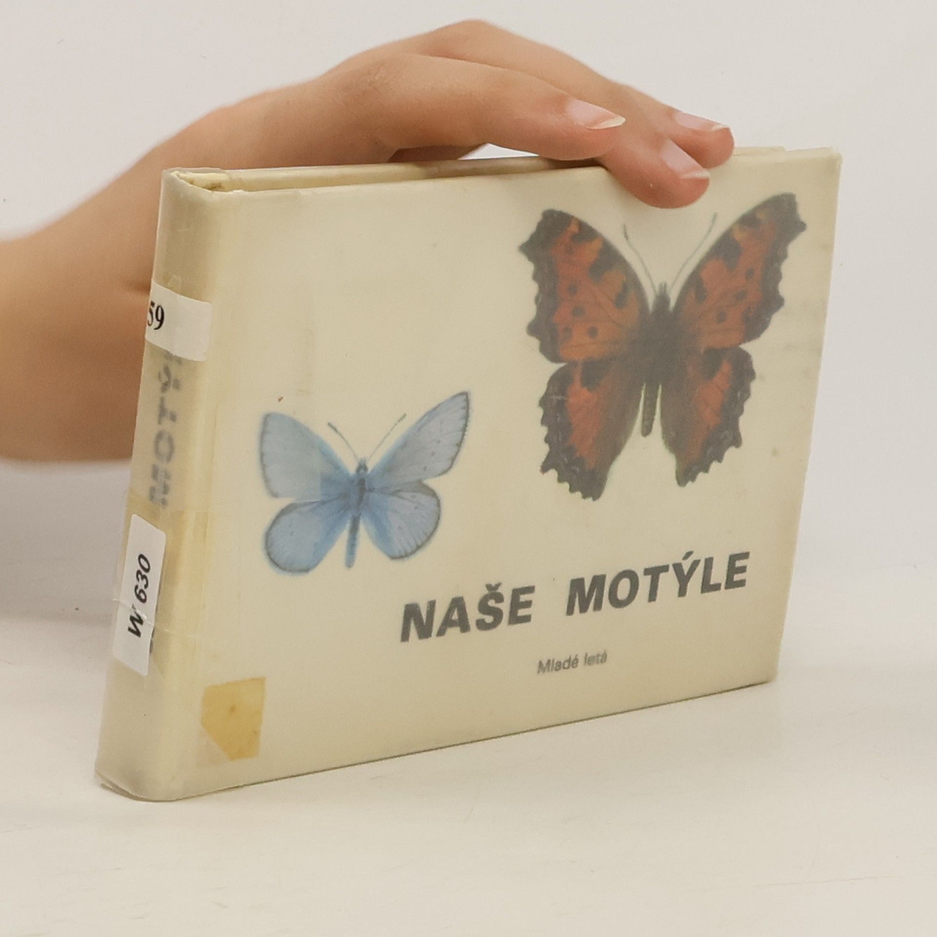 Naše motýle