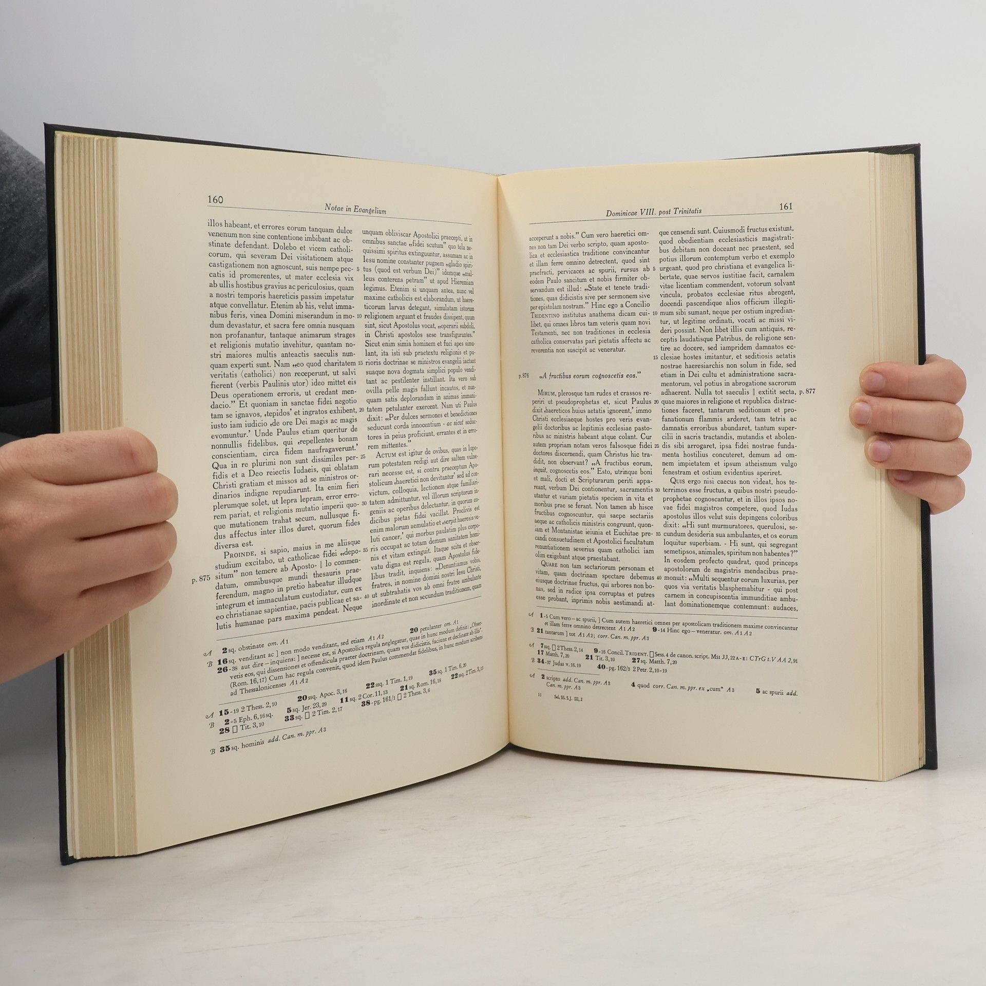 Friedrich Streicher Meditationes seu notae in evangelicas lectiones