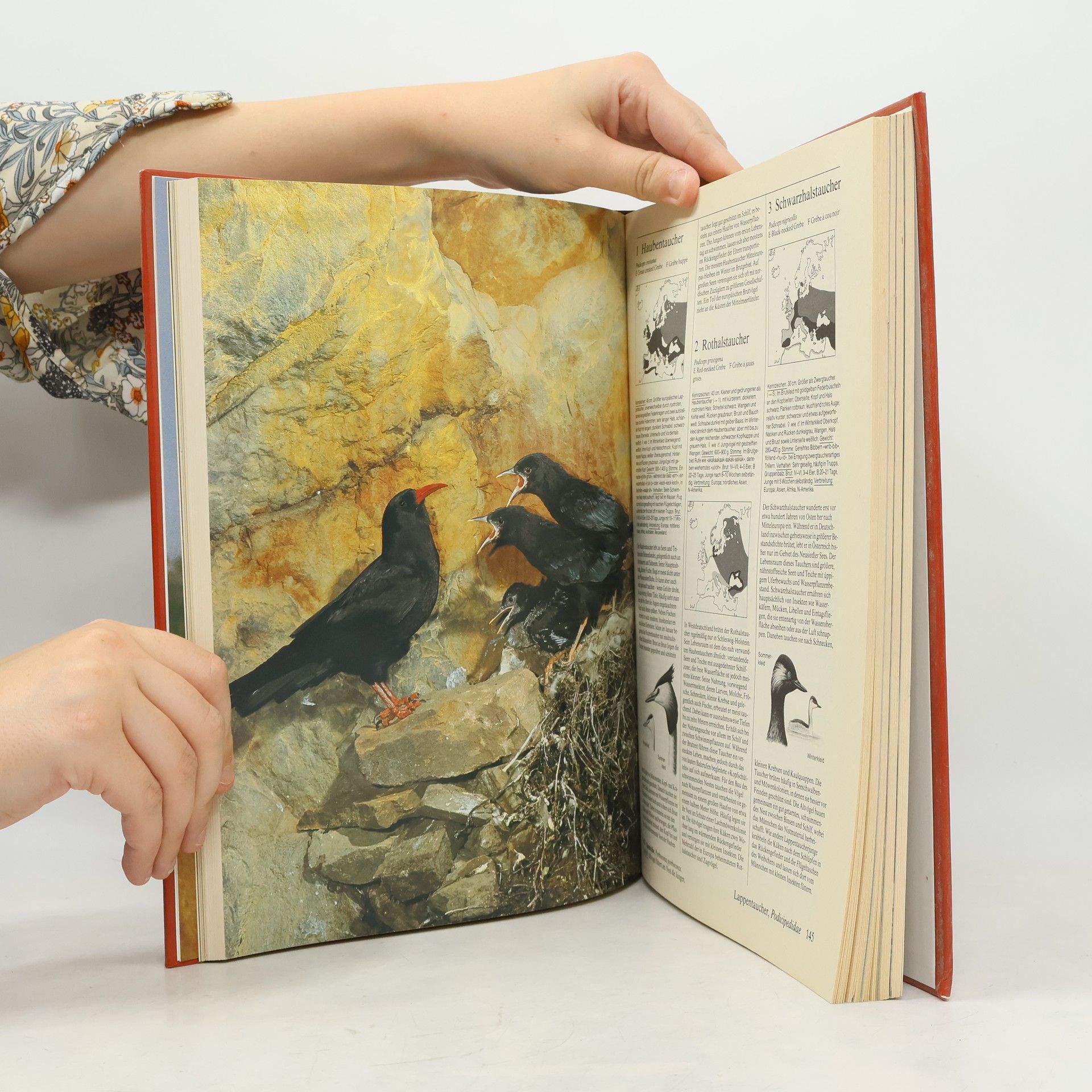 Jürgen Nicolai Fotoatlas der Vögel