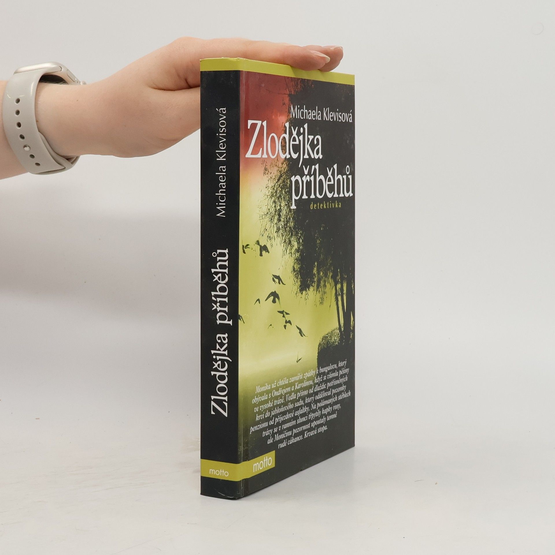 Michaela Klevisová Zlodějka příběhů