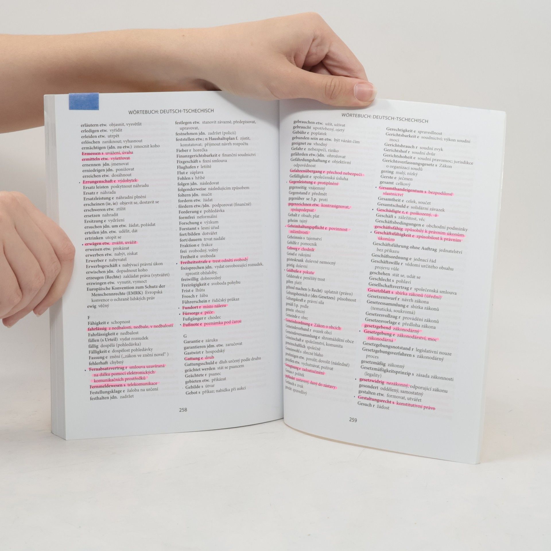 Jana Girmanová Deutsche Rechtssprache