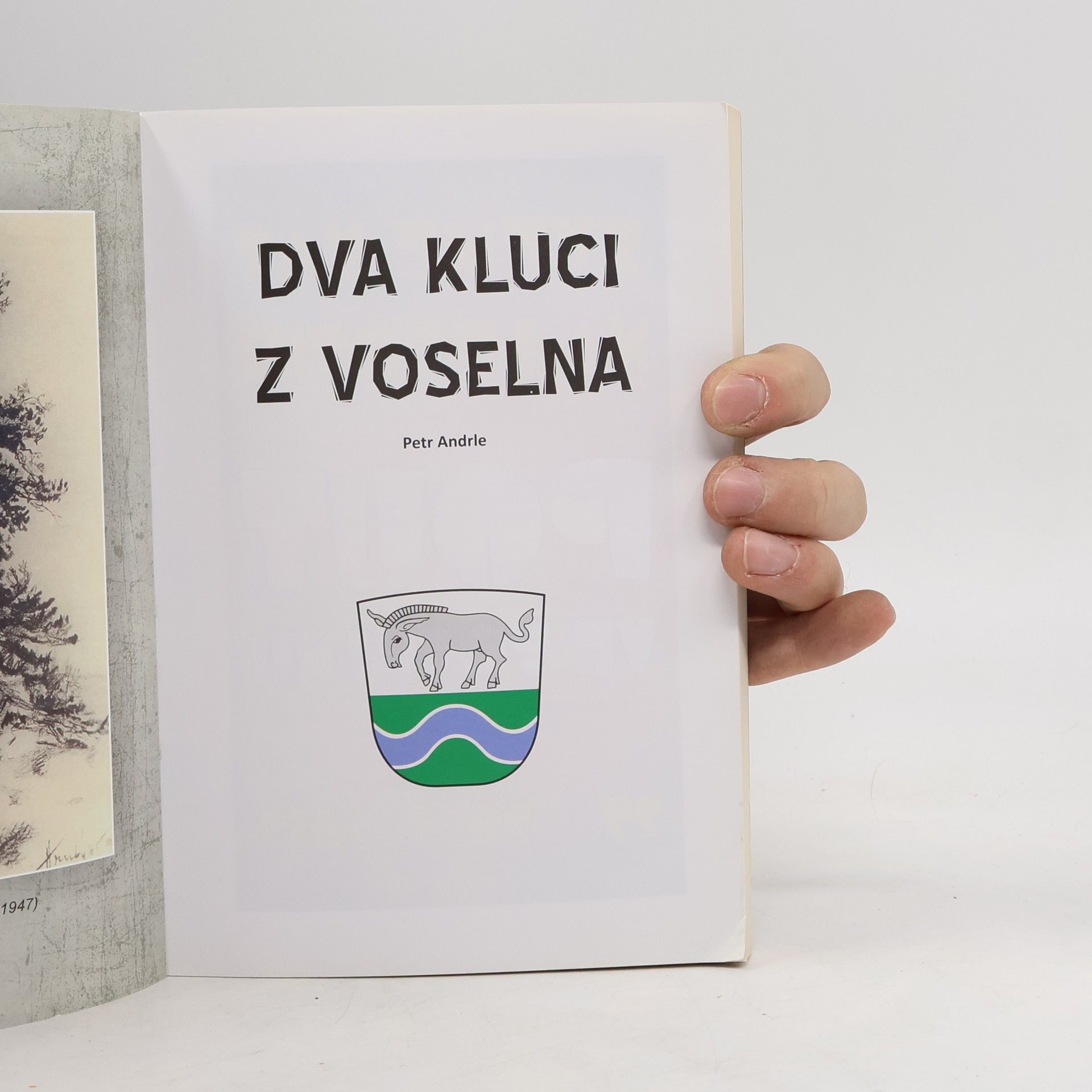 Petr Andrle Dva kluci z Voselna