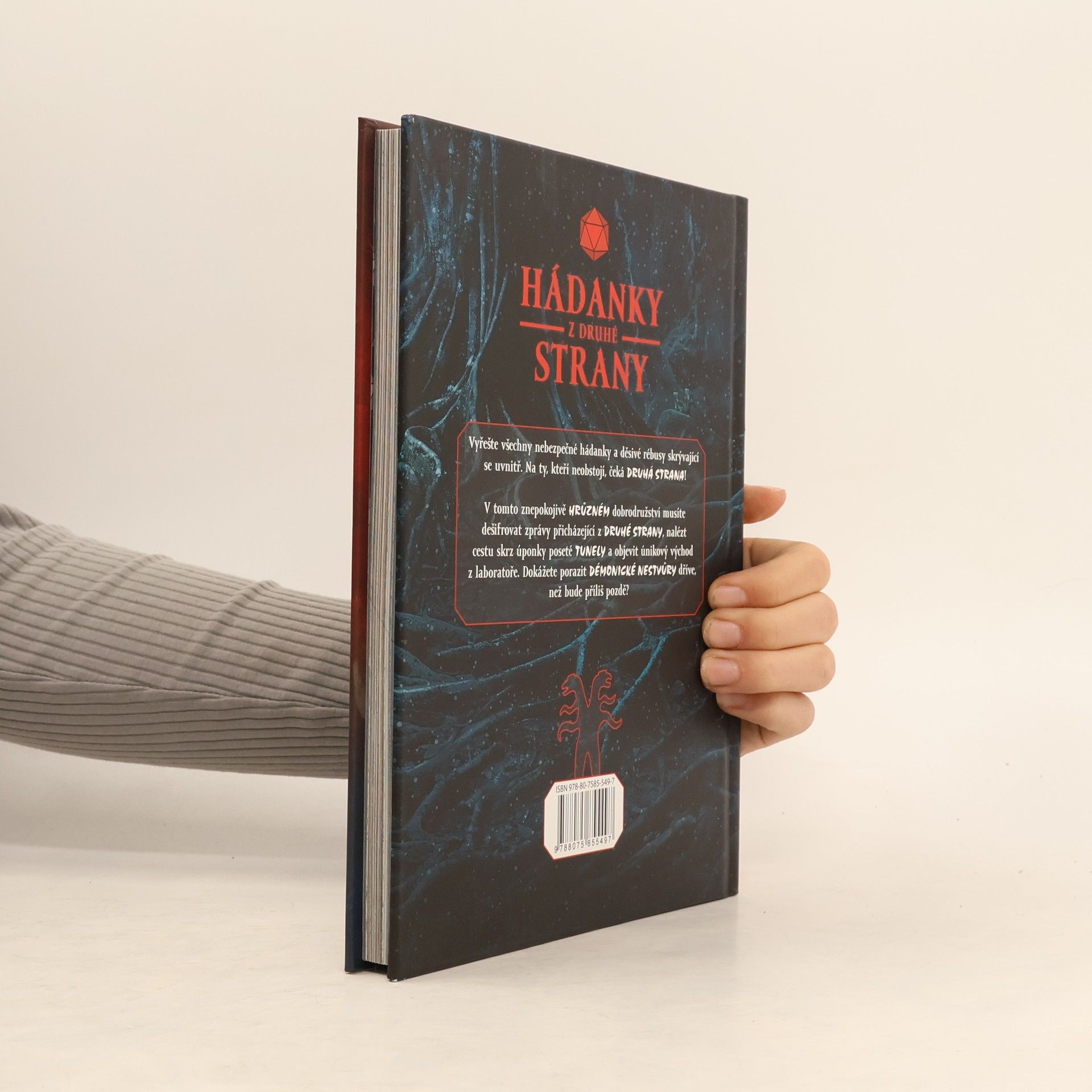 Jason Ward Hádanky z druhé strany. Děsivě návykové dobrodružství plné hlavolamů inspirované světem Stranger things