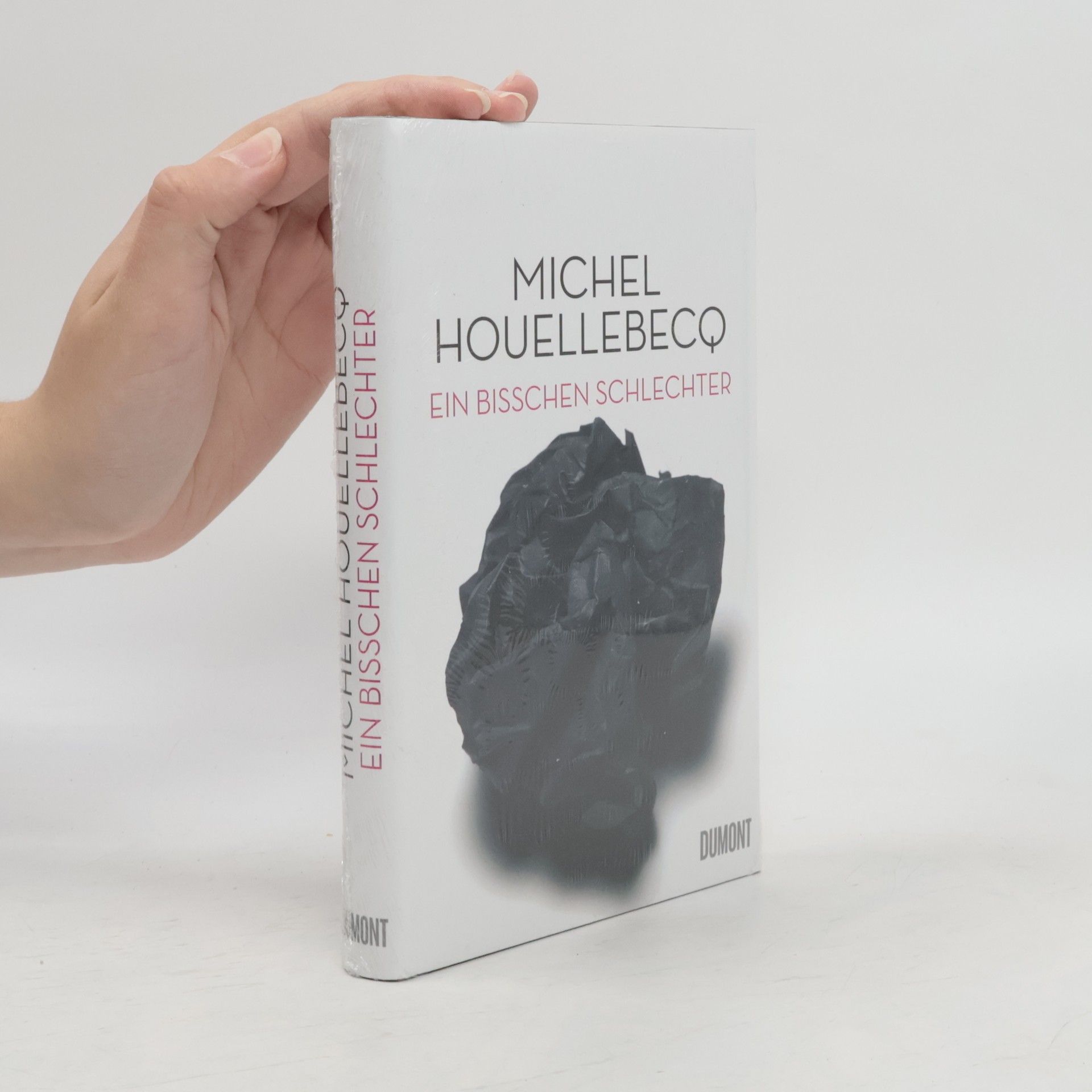 Michel Houellebecq Ein bisschen schlechter