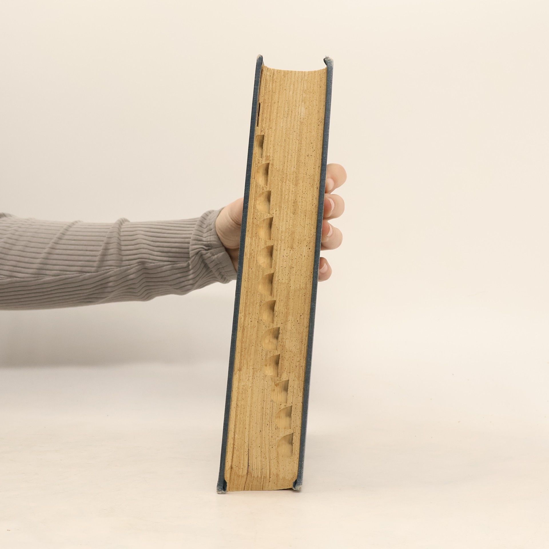 AA.VV. Webster's New Collegiate Dictionary