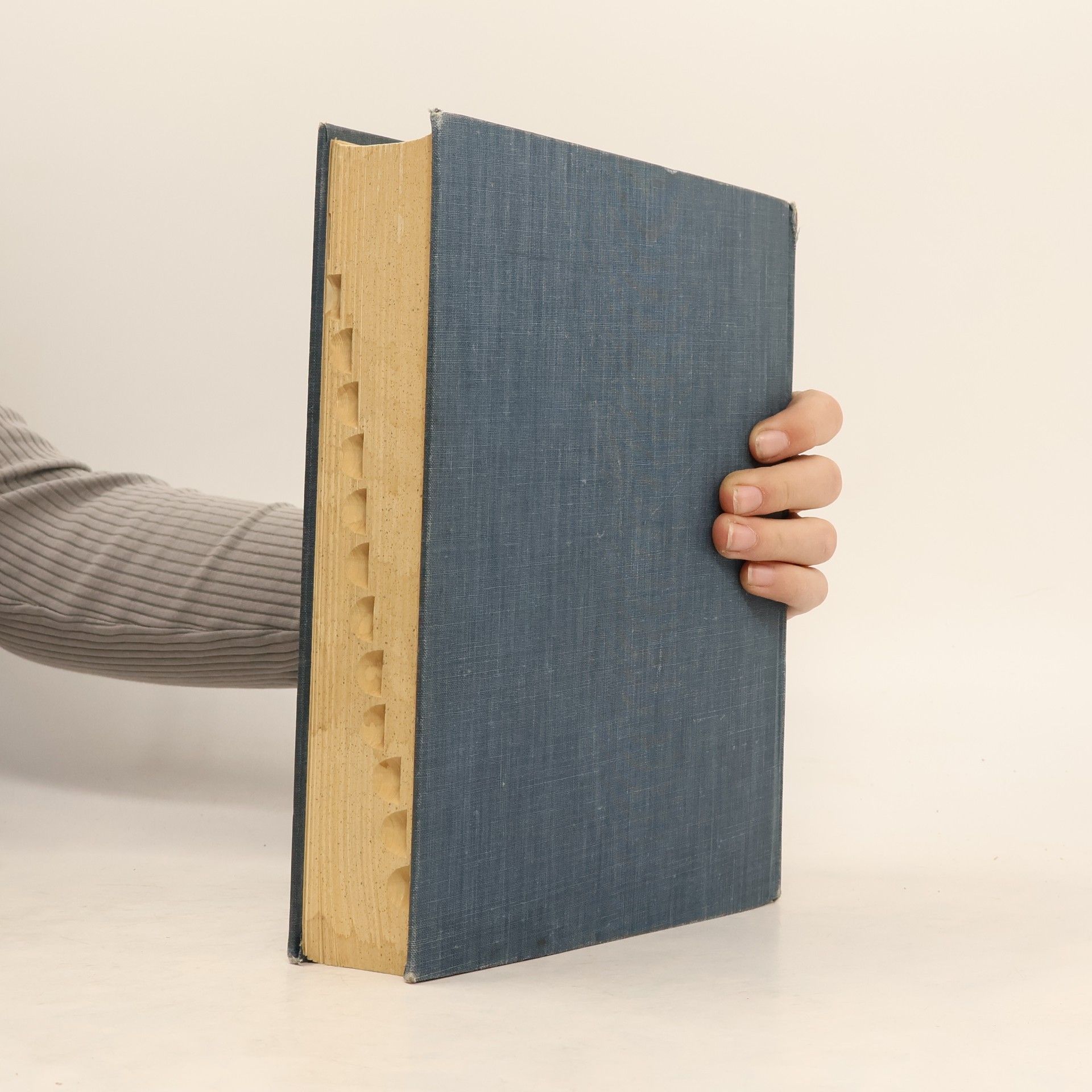 AA.VV. Webster's New Collegiate Dictionary