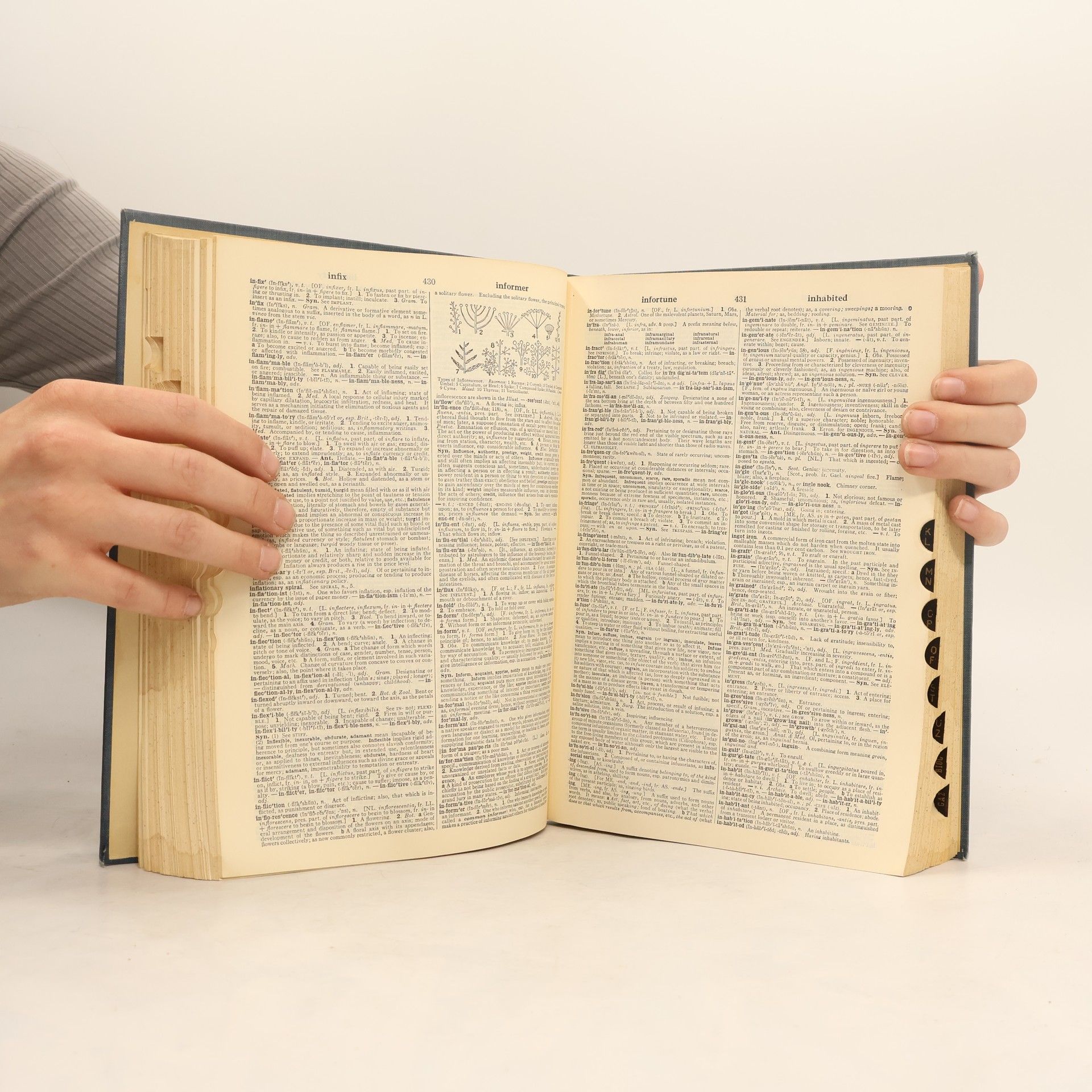 AA.VV. Webster's New Collegiate Dictionary