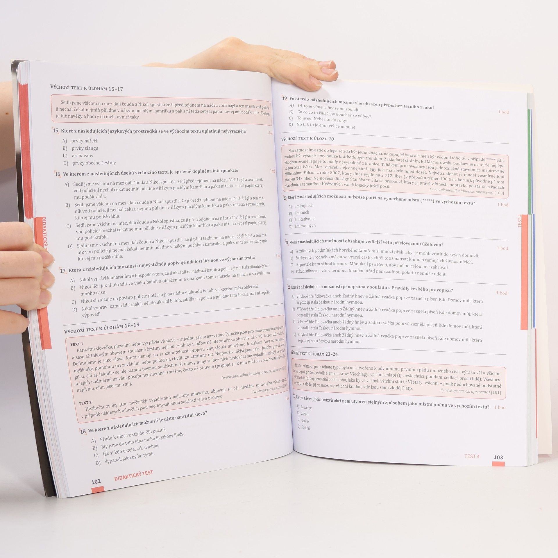 Various authors Maturita v pohodě. Český jazyk a literatura