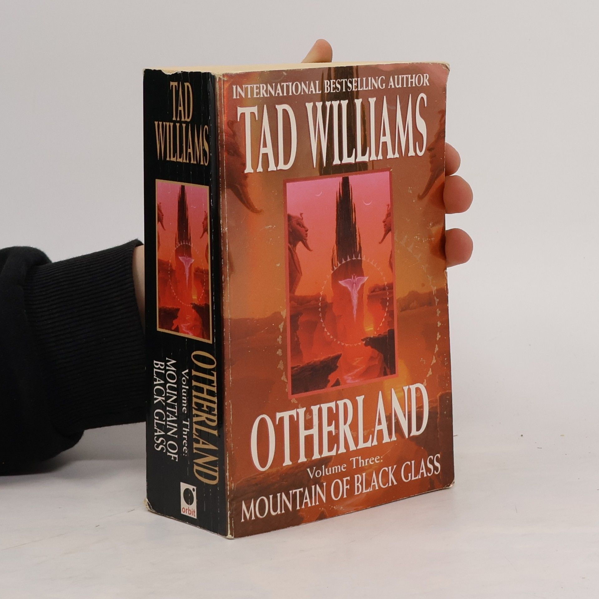 Tad Williams Otherland. Vol. 3. Mountain of Black Glass