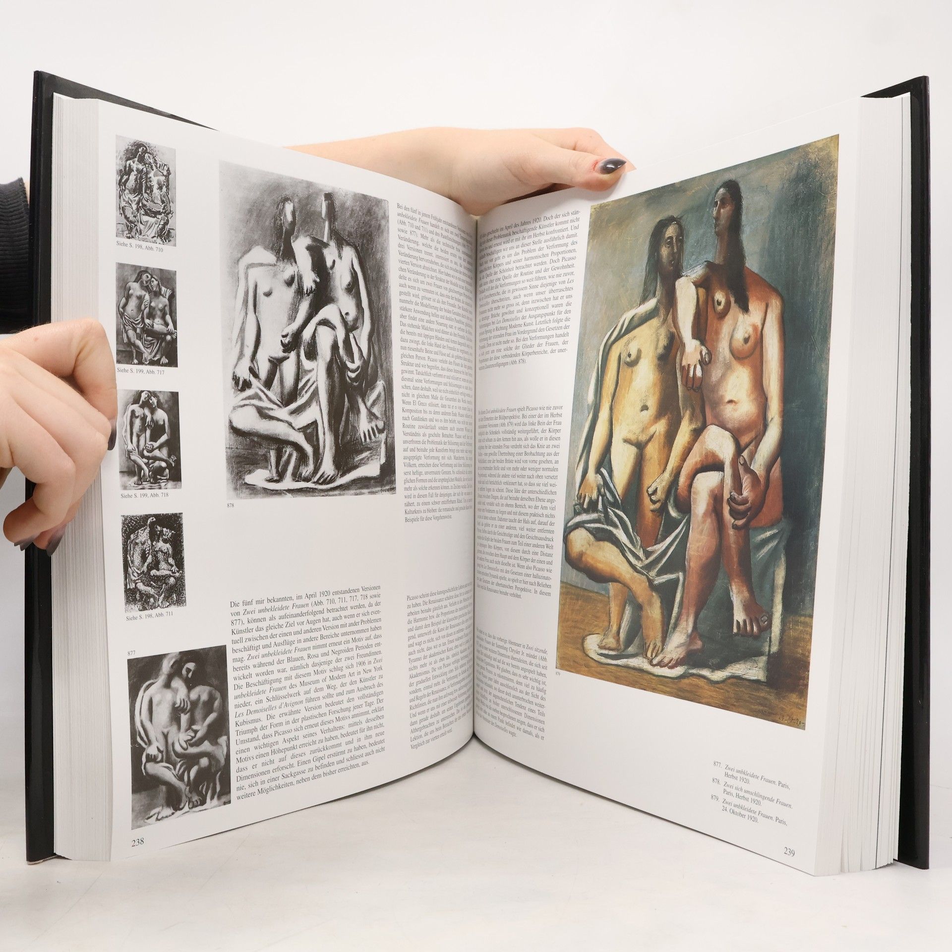Josep Palau i Fabre Picasso