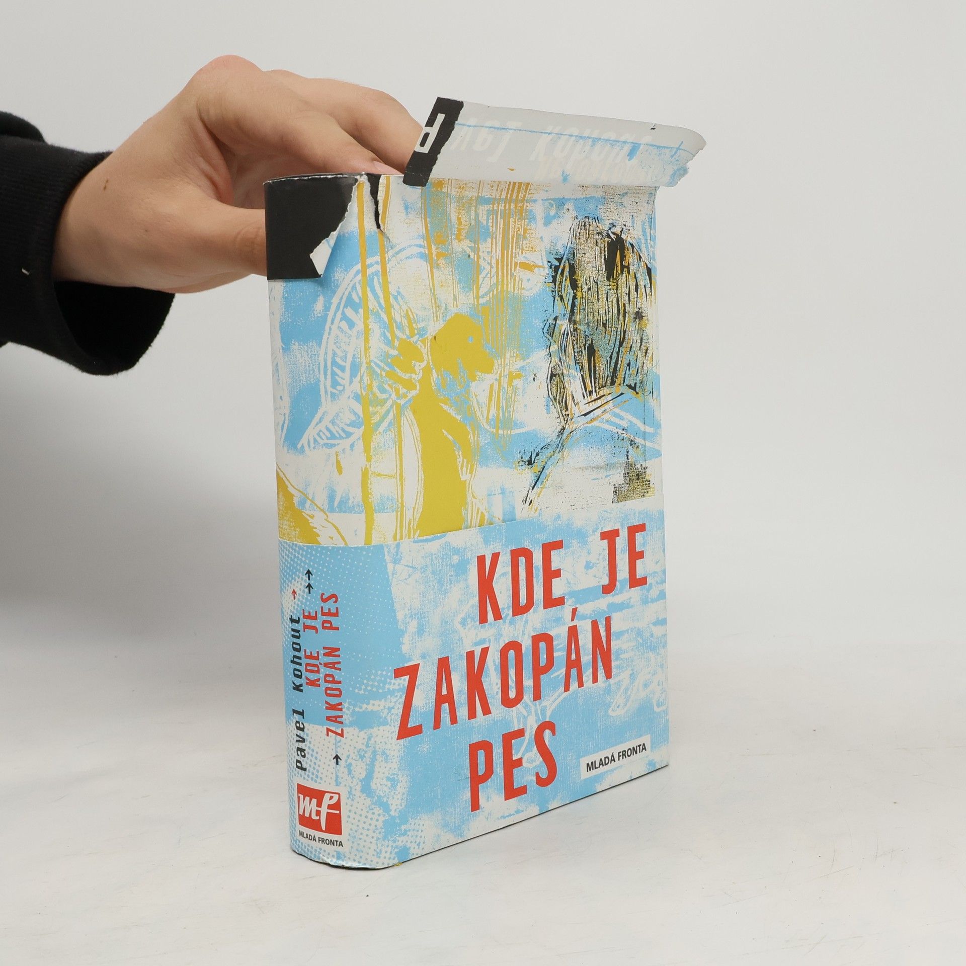 Pavel Kohout Kde je zakopán pes