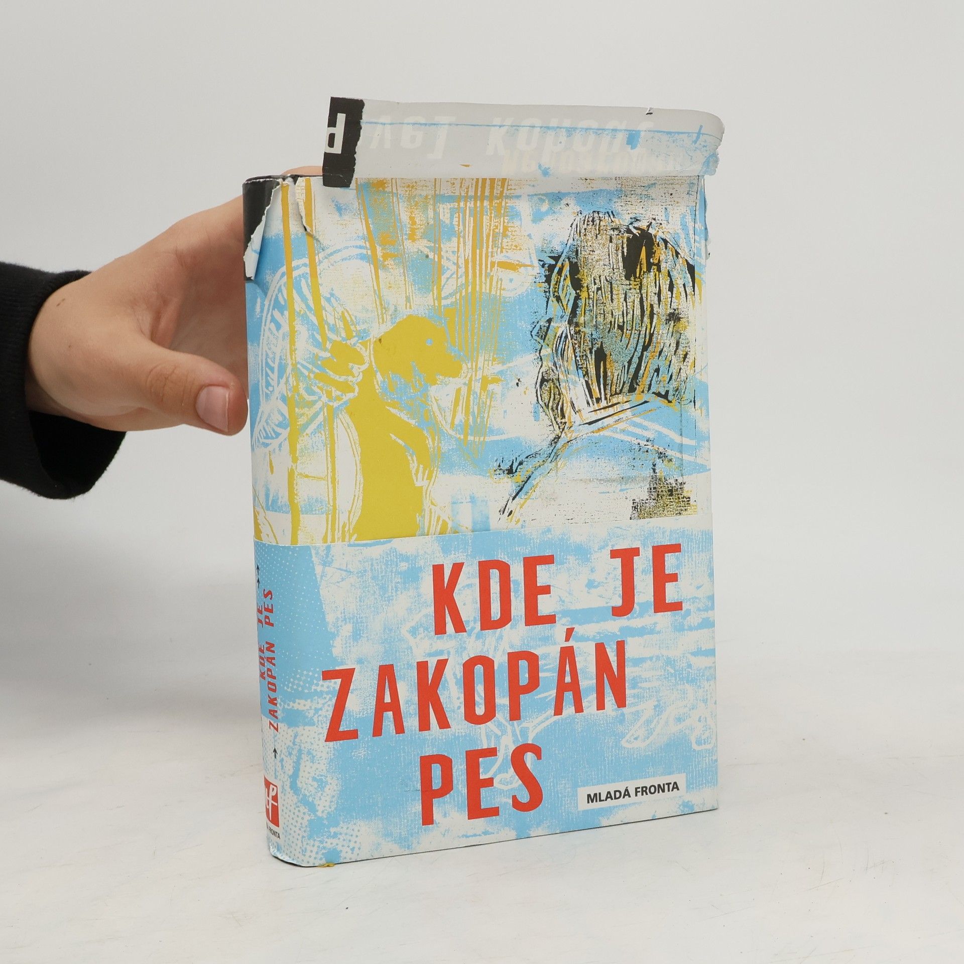 Pavel Kohout Kde je zakopán pes