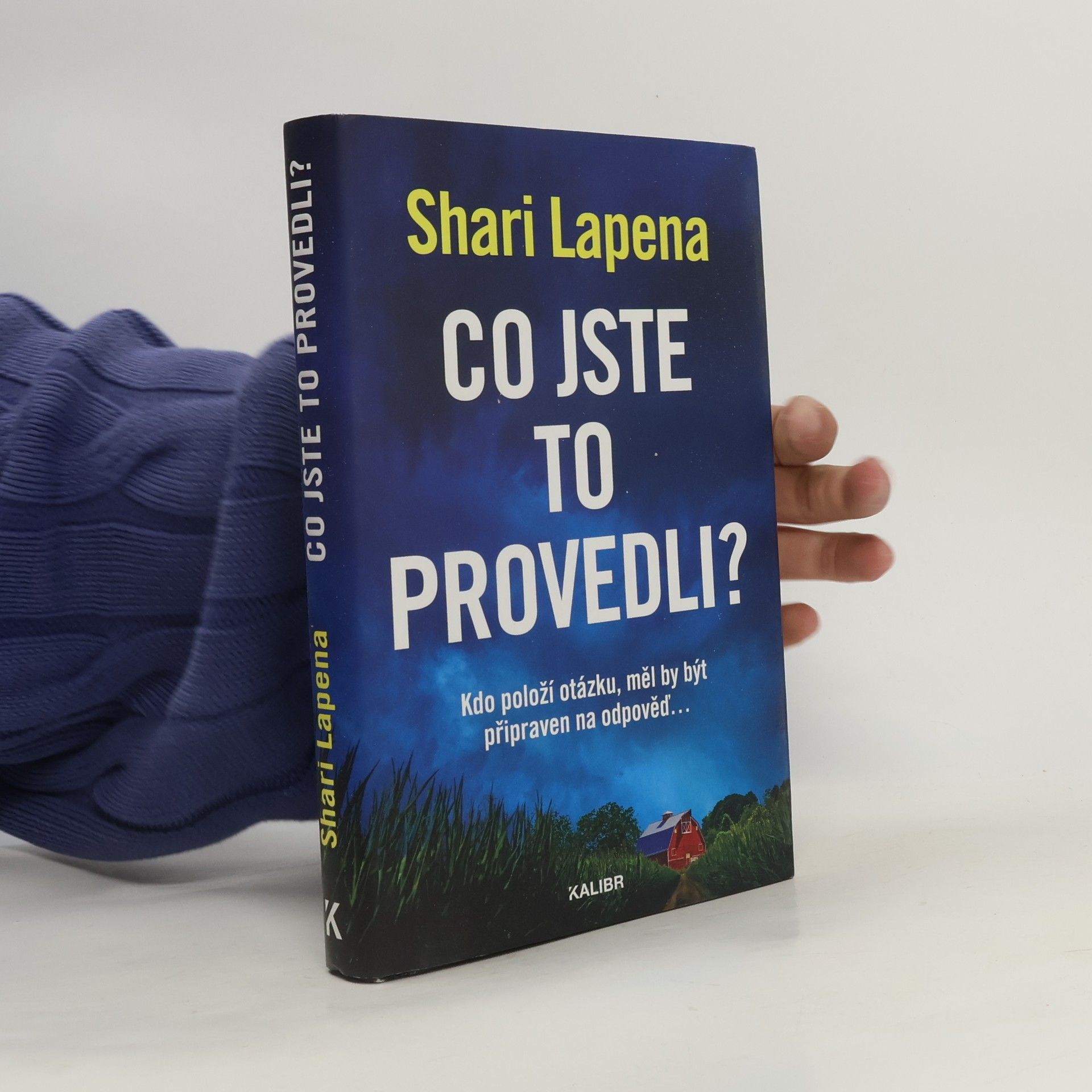 Shari Lapena Co jste to provedli?
