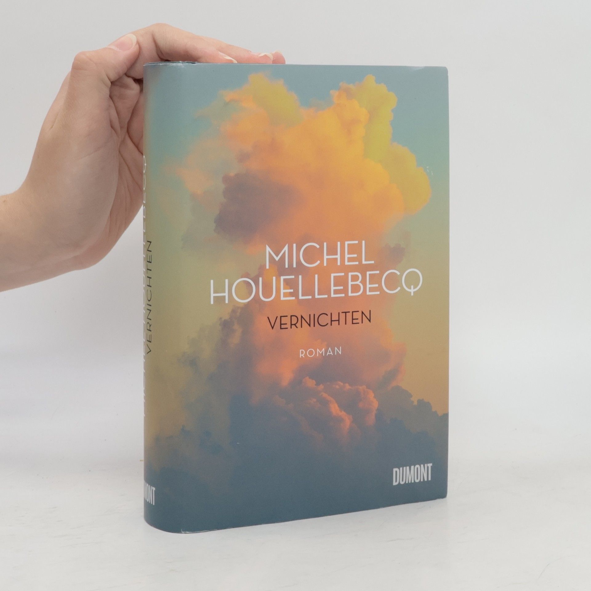 Michel Houellebecq Vernichten