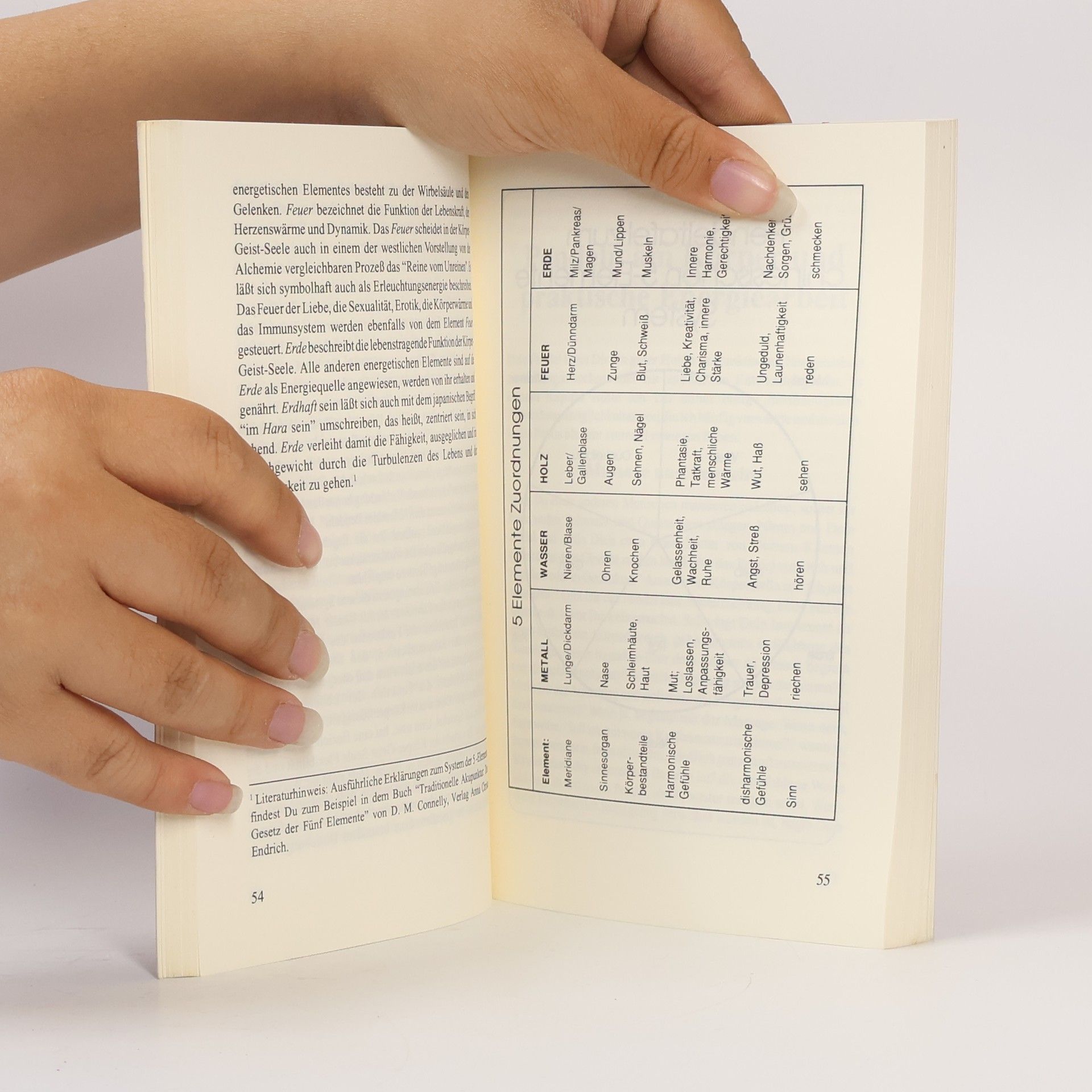 Walter Lübeck Das Pendel-Handbuch