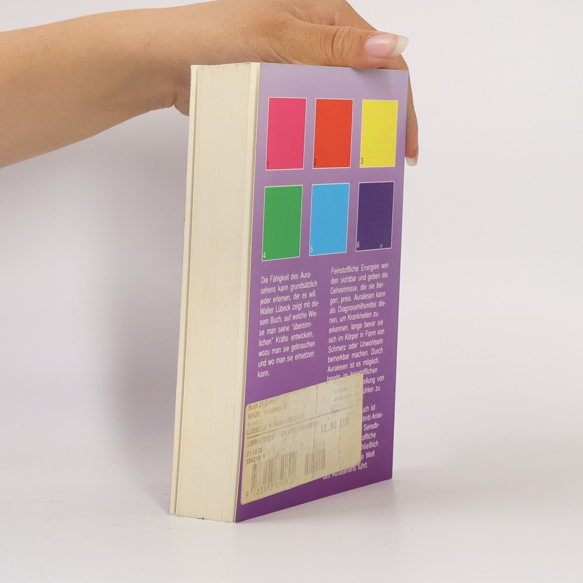 Walter Lübeck Das Aura-Heilbuch
