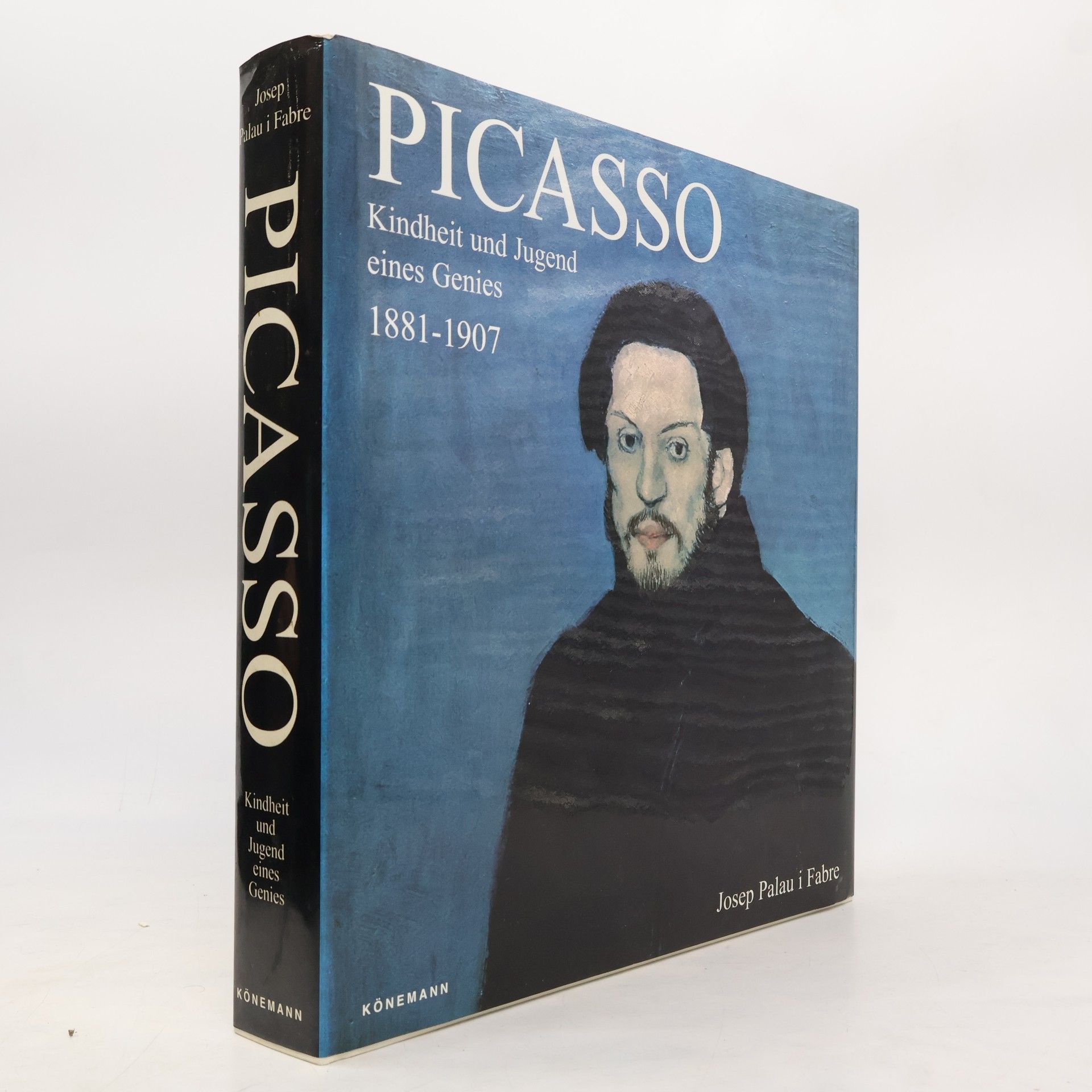 Josep Palau i Fabre Picasso