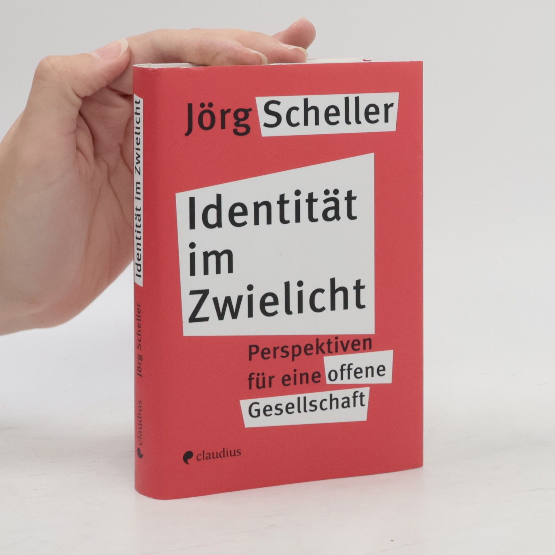Jörg Scheller Identität im Zwielicht