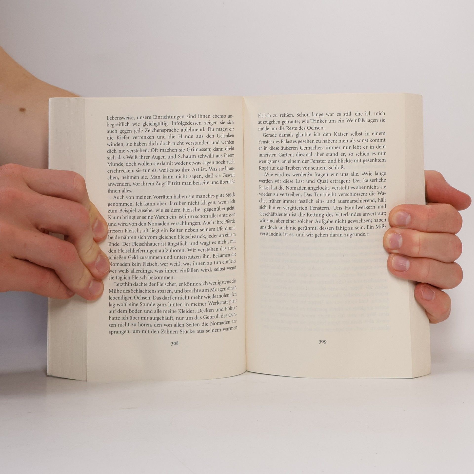 Franz Kafka Die Erzählungen