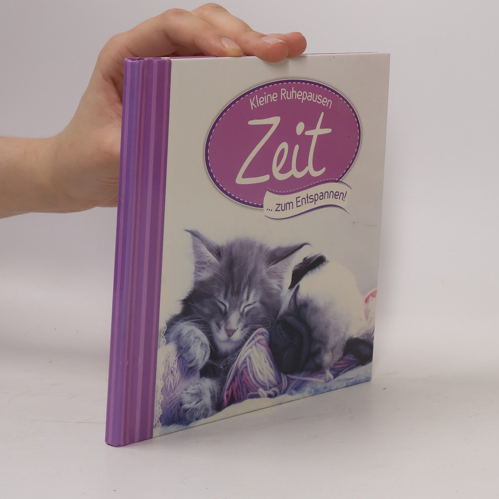 Autorenkollektiv Kleine Ruhepausen Zeit zum Entspannen!