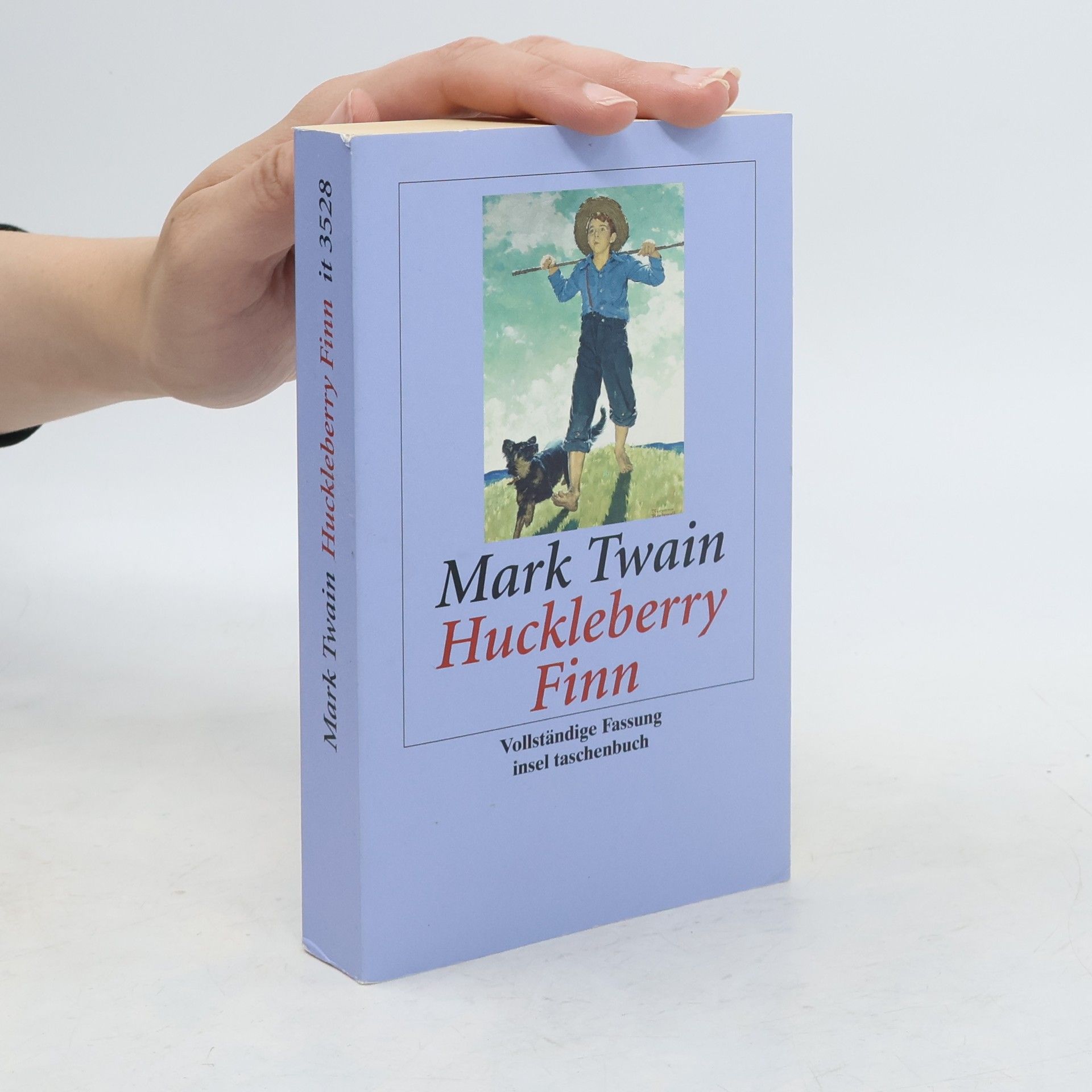 Mark Twain Abenteuer von Huckleberry Finn