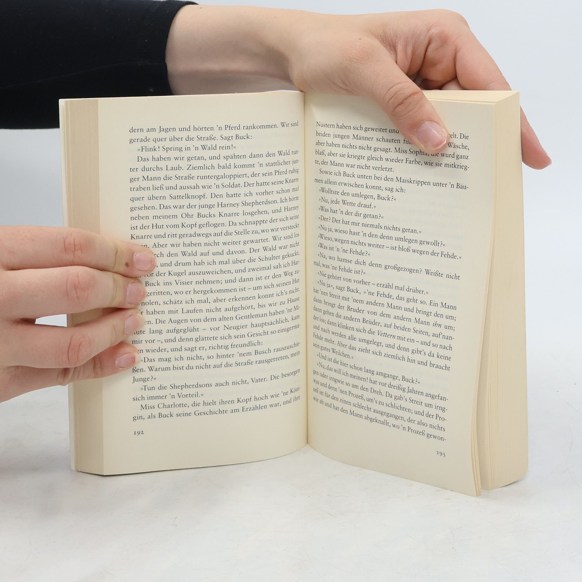 Mark Twain Abenteuer von Huckleberry Finn
