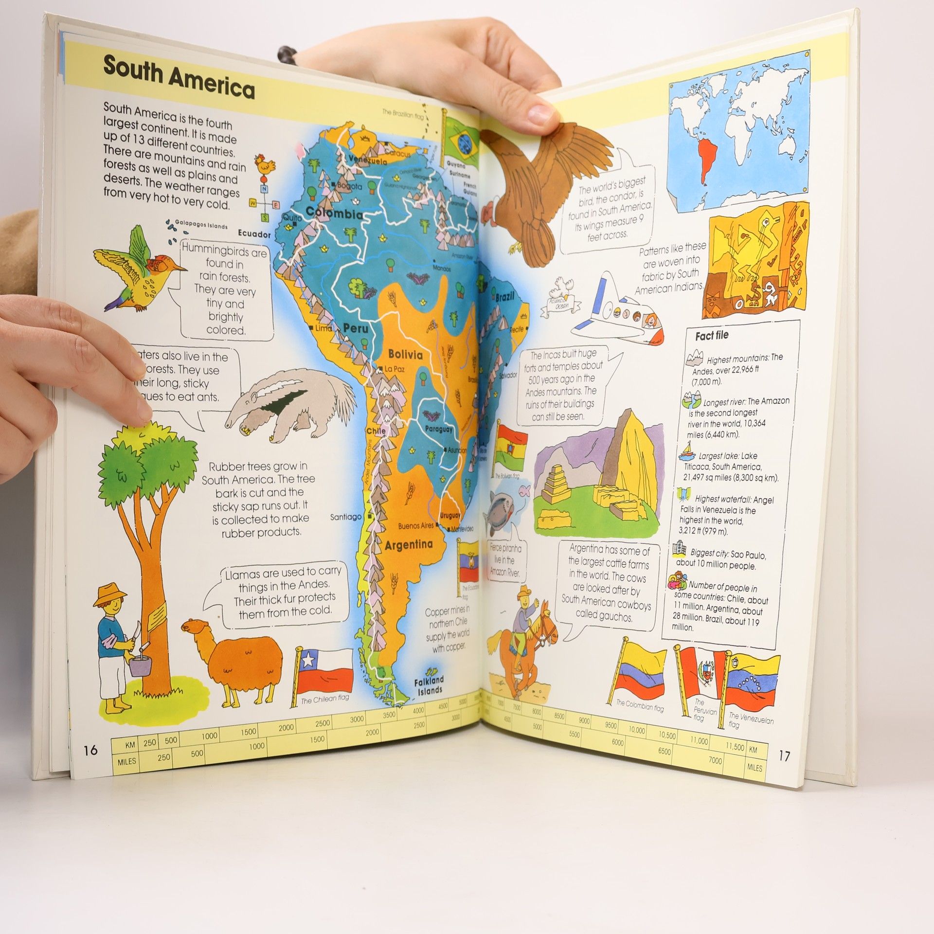 Nicola Wright Macmillan First Atlas