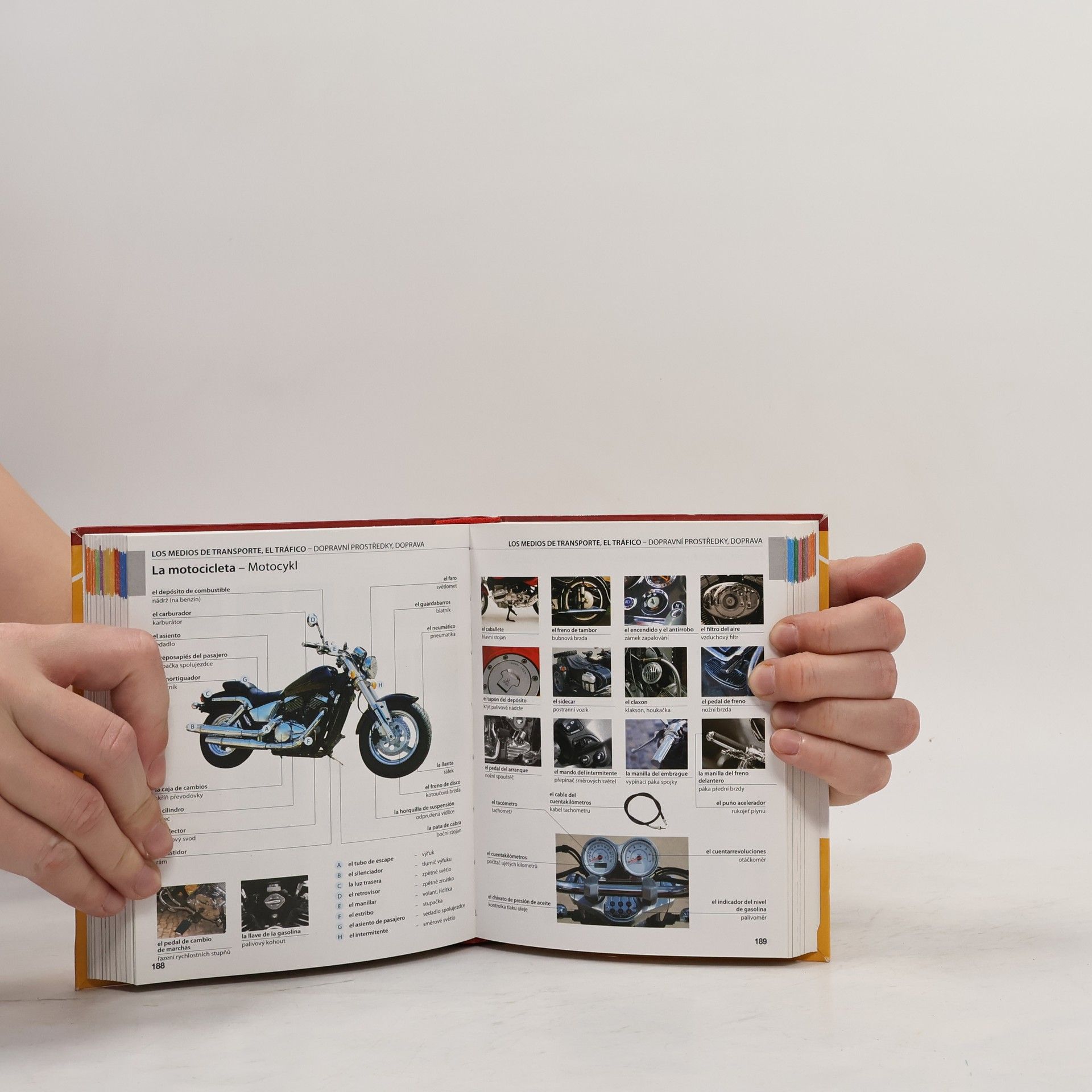 Autorenkollektiv Obrázkový slovník španělsko-český