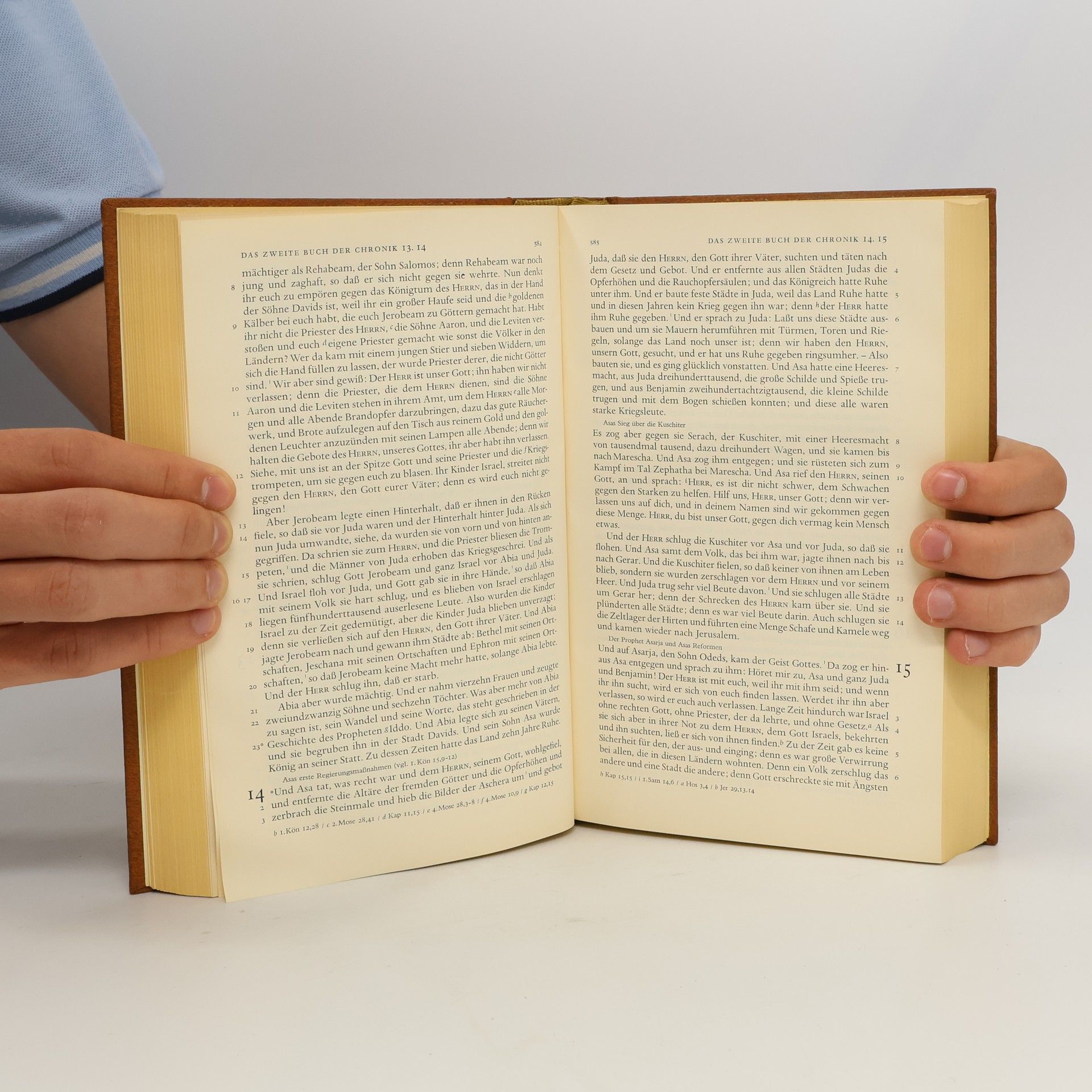 Martin Luther Die Bibel oder die ganze heilige Schrift des Alten und Neuen Testaments