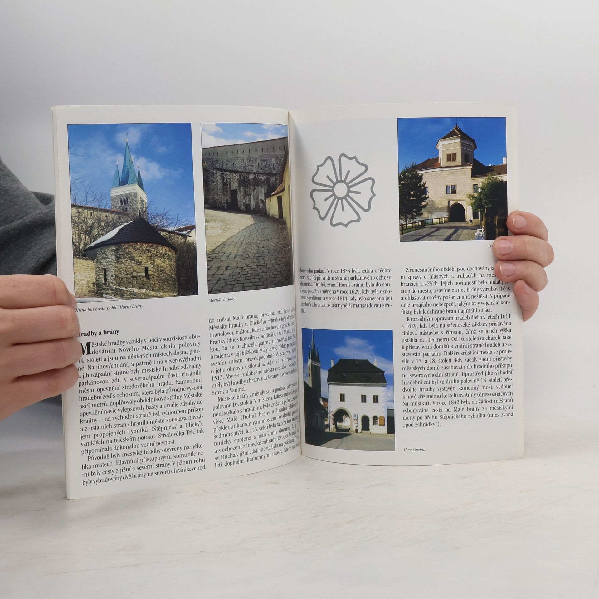 Various authors Telč. Památky ve městě a okolí